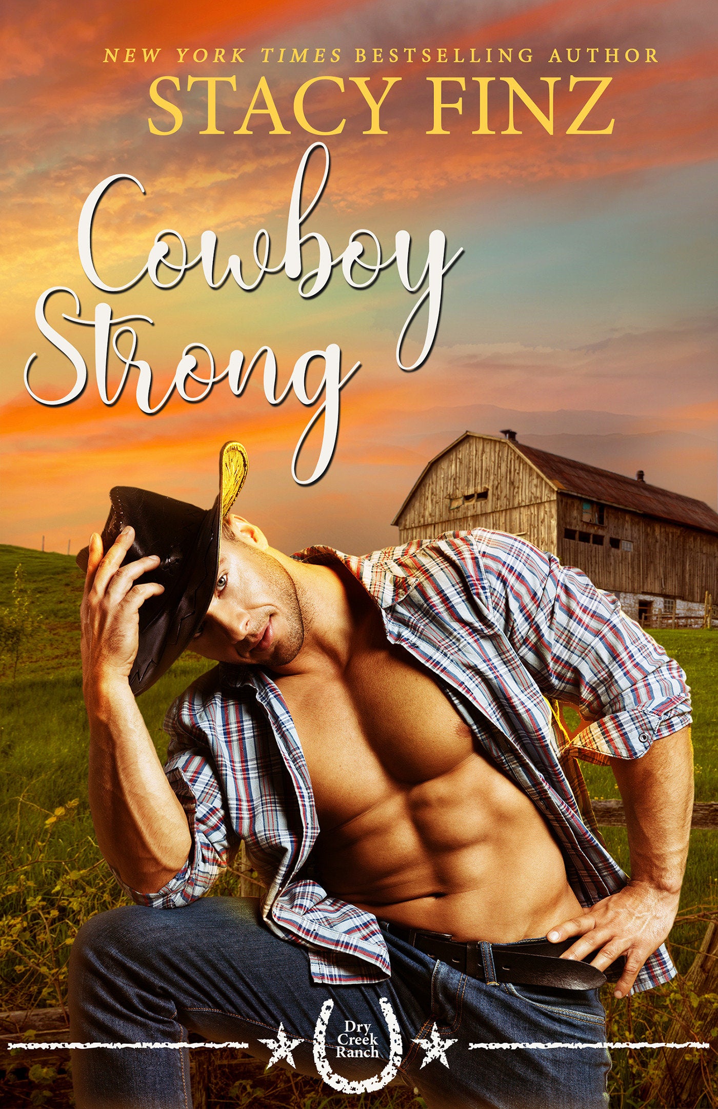 Cowboy Strong (Dry Creek Ranch) (Book:3)
