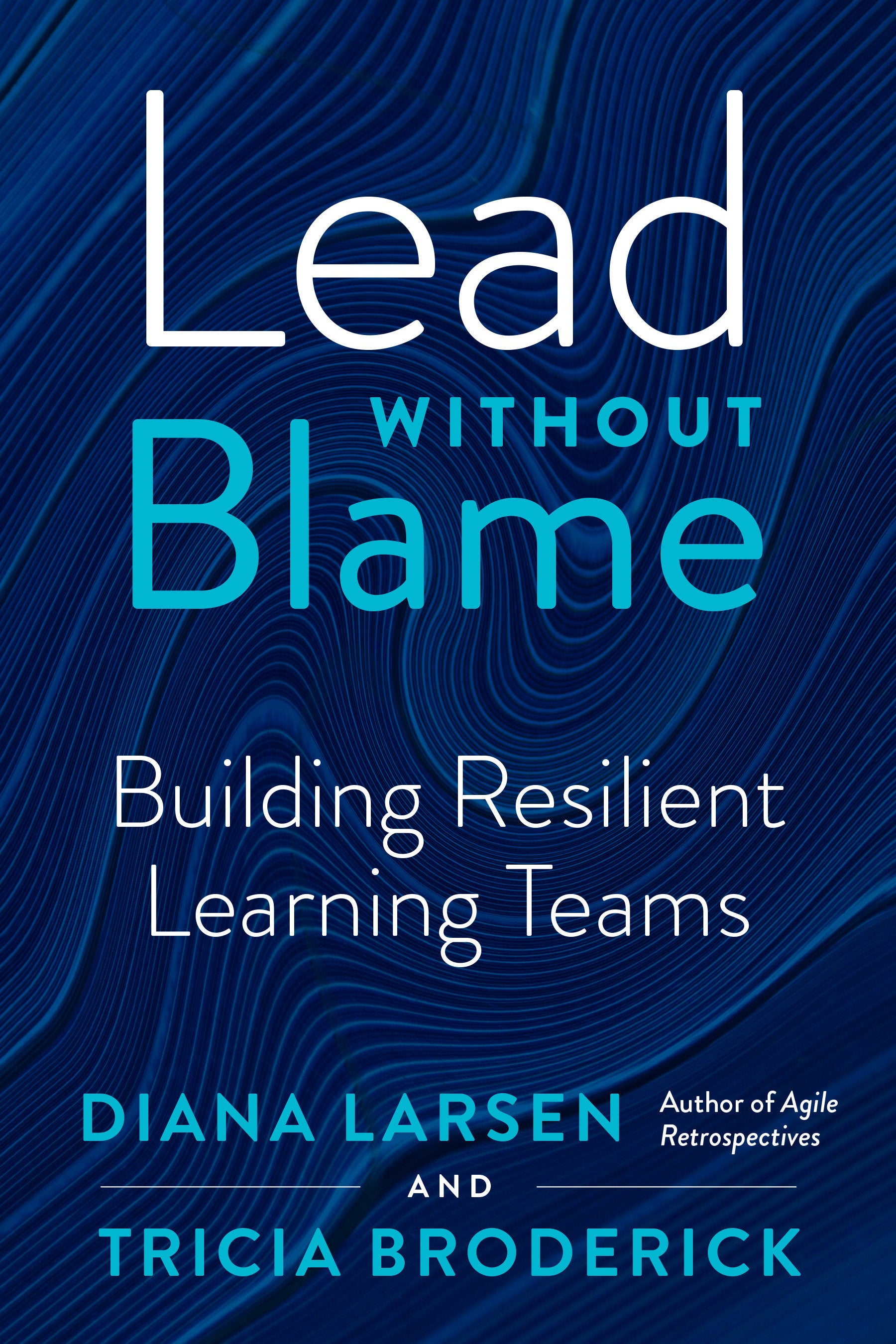 Lead without Blame - Building Resilient Learning Teams