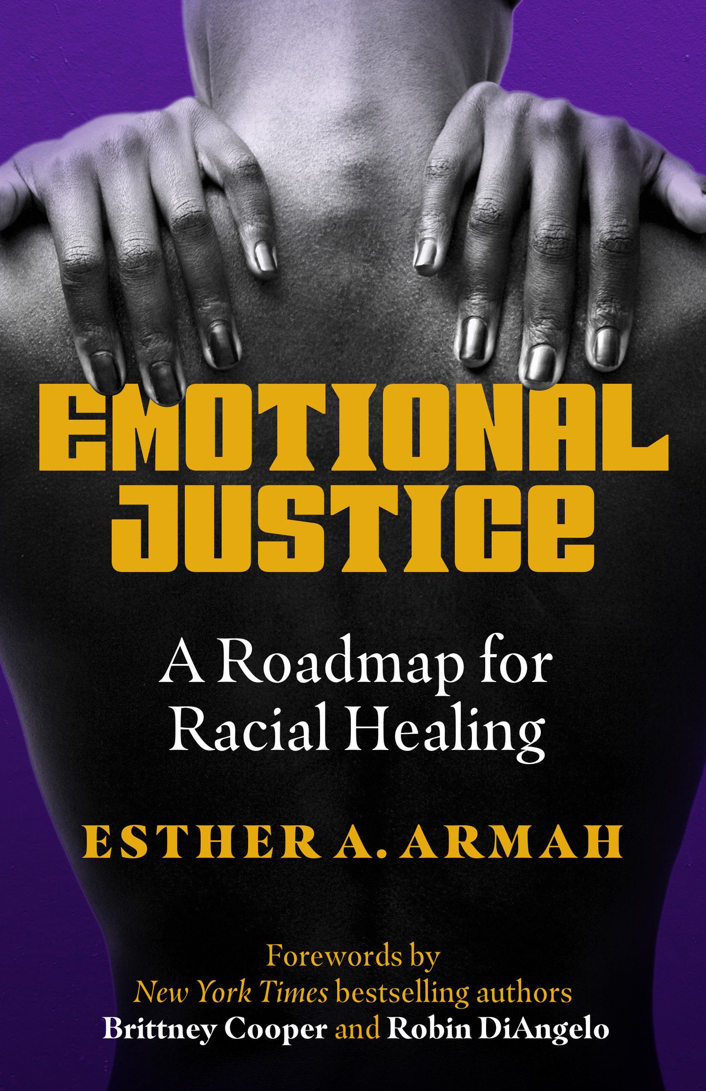 Emotional Justice - A Roadmap for Racial Healing