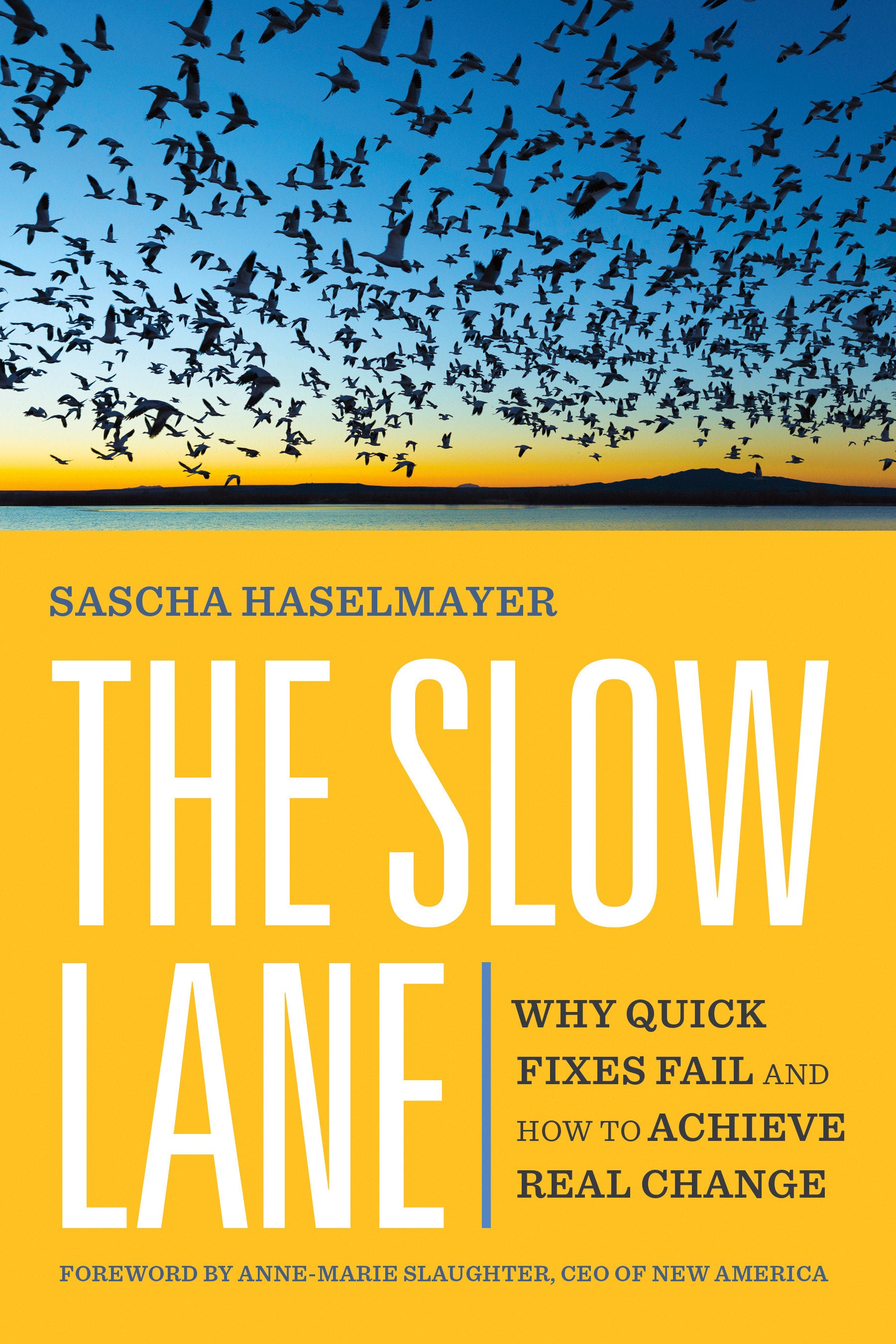 The Slow Lane - Why Quick Fixes Fail and How to Achieve Real Change