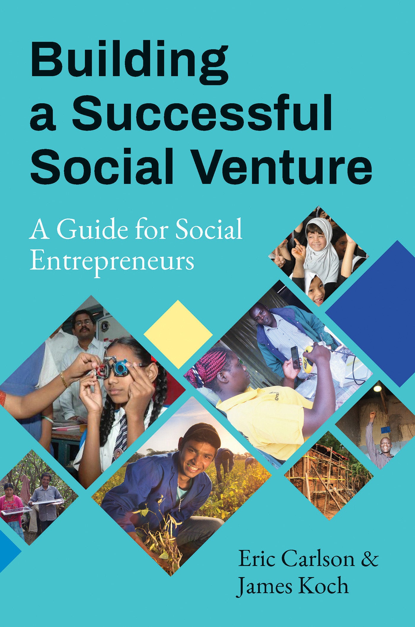 Building a Successful Social Venture - A Guide for Social Entrepreneurs