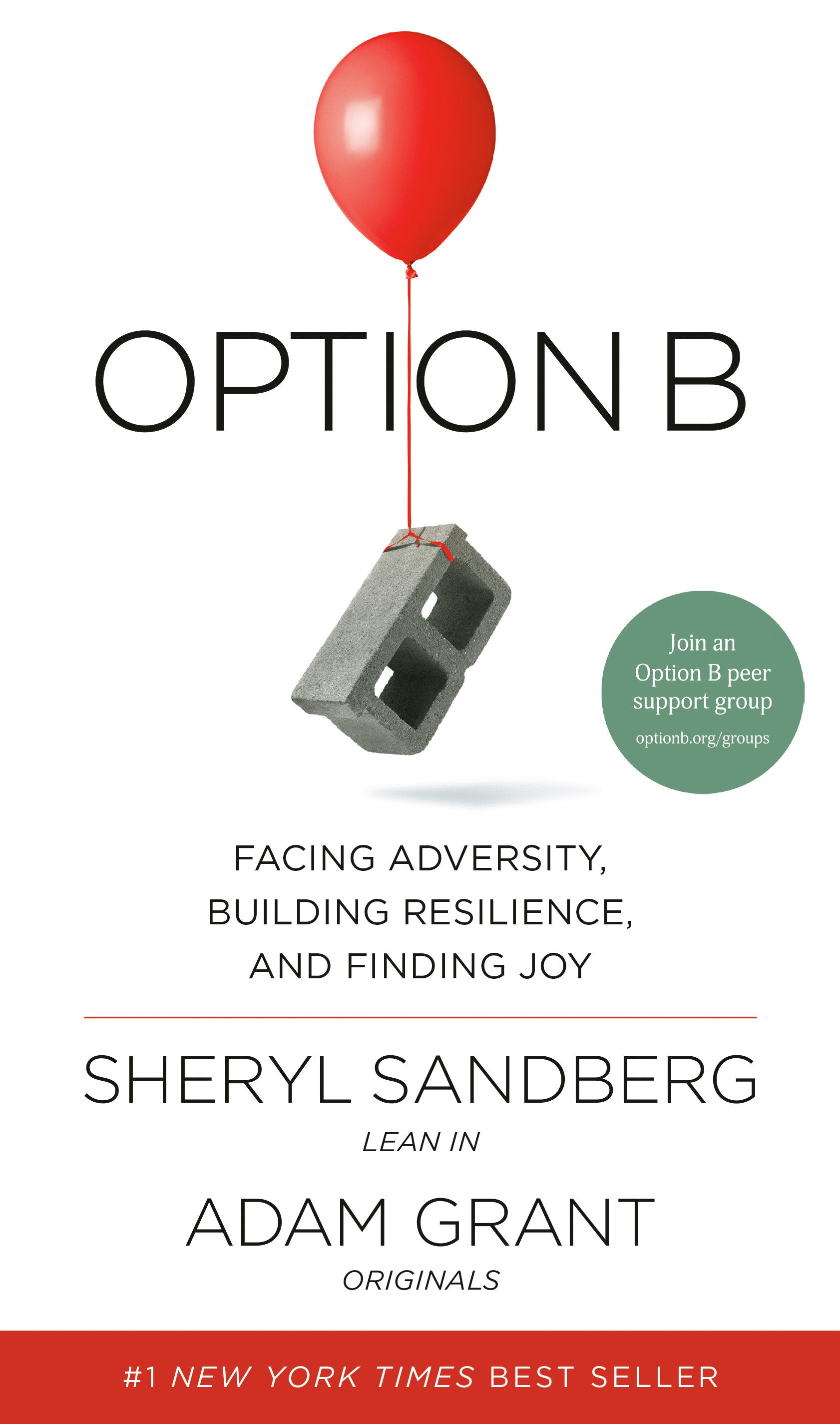 Option B - Facing Adversity, Building Resilience, and Finding Joy