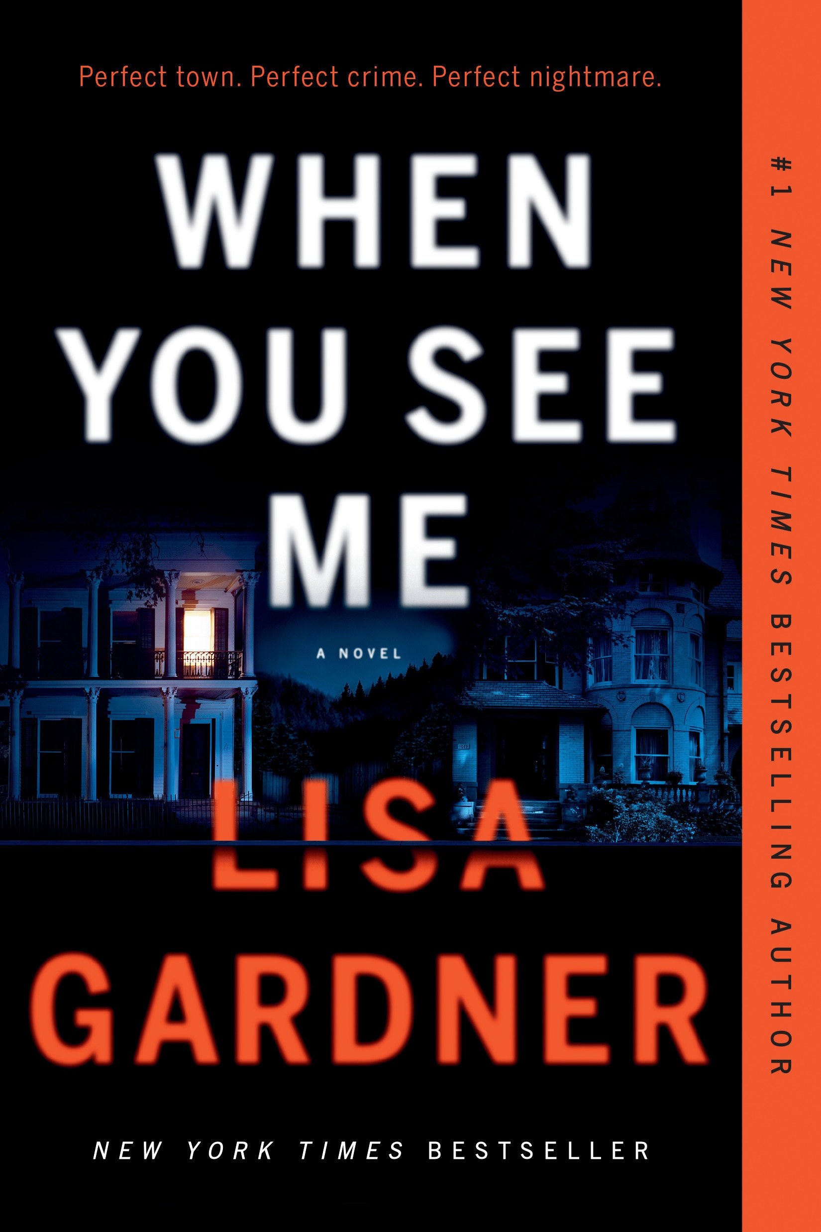 When You See Me - A Novel (Detective D. D. Warren) (Book:12)