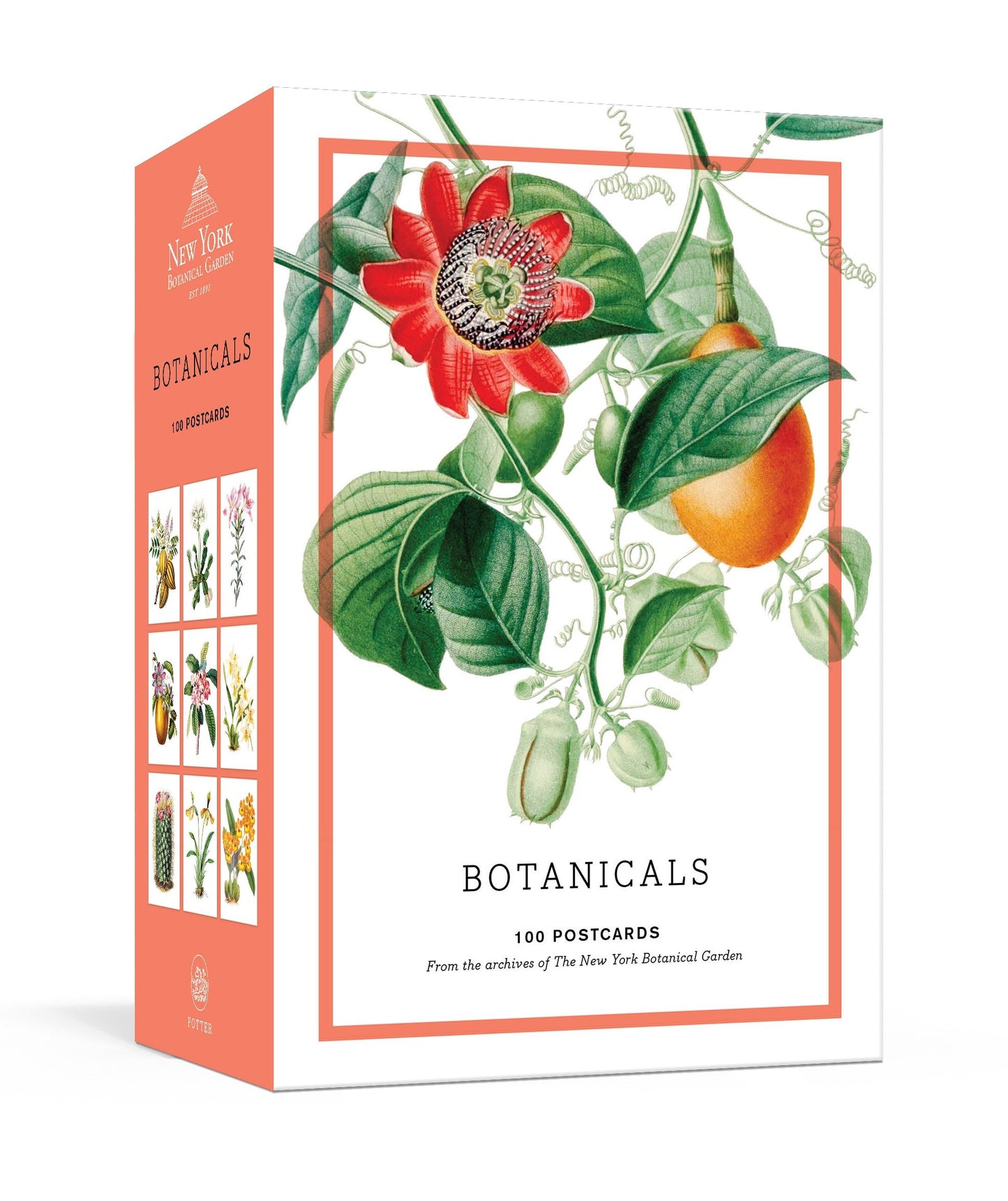 Botanicals - 100 Postcards from the Archives of the New York Botanical Garden (New York Botanical Garden)
