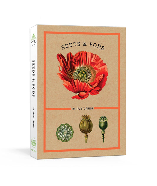 Seeds and Pods - 24 Postcards (New York Botanical Garden)