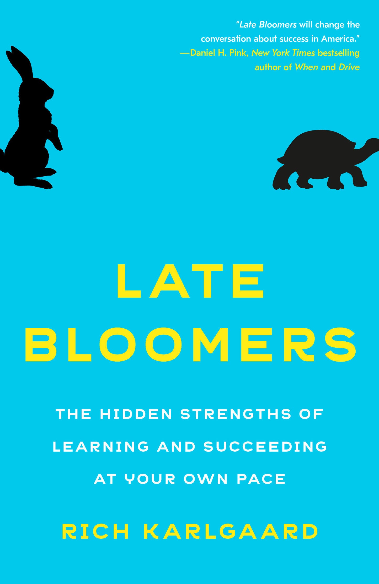 Late Bloomers - The Hidden Strengths of Learning and Succeeding at Your Own Pace
