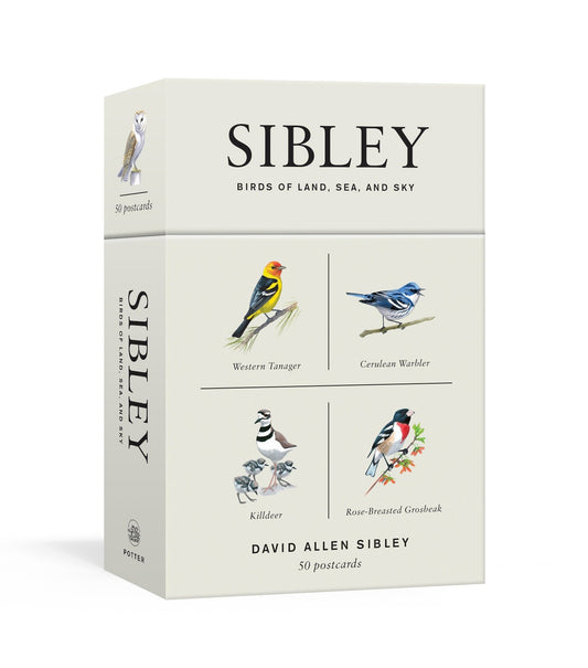 Sibley Birds of Land, Sea, and Sky - 50 Postcards (Sibley Birds)