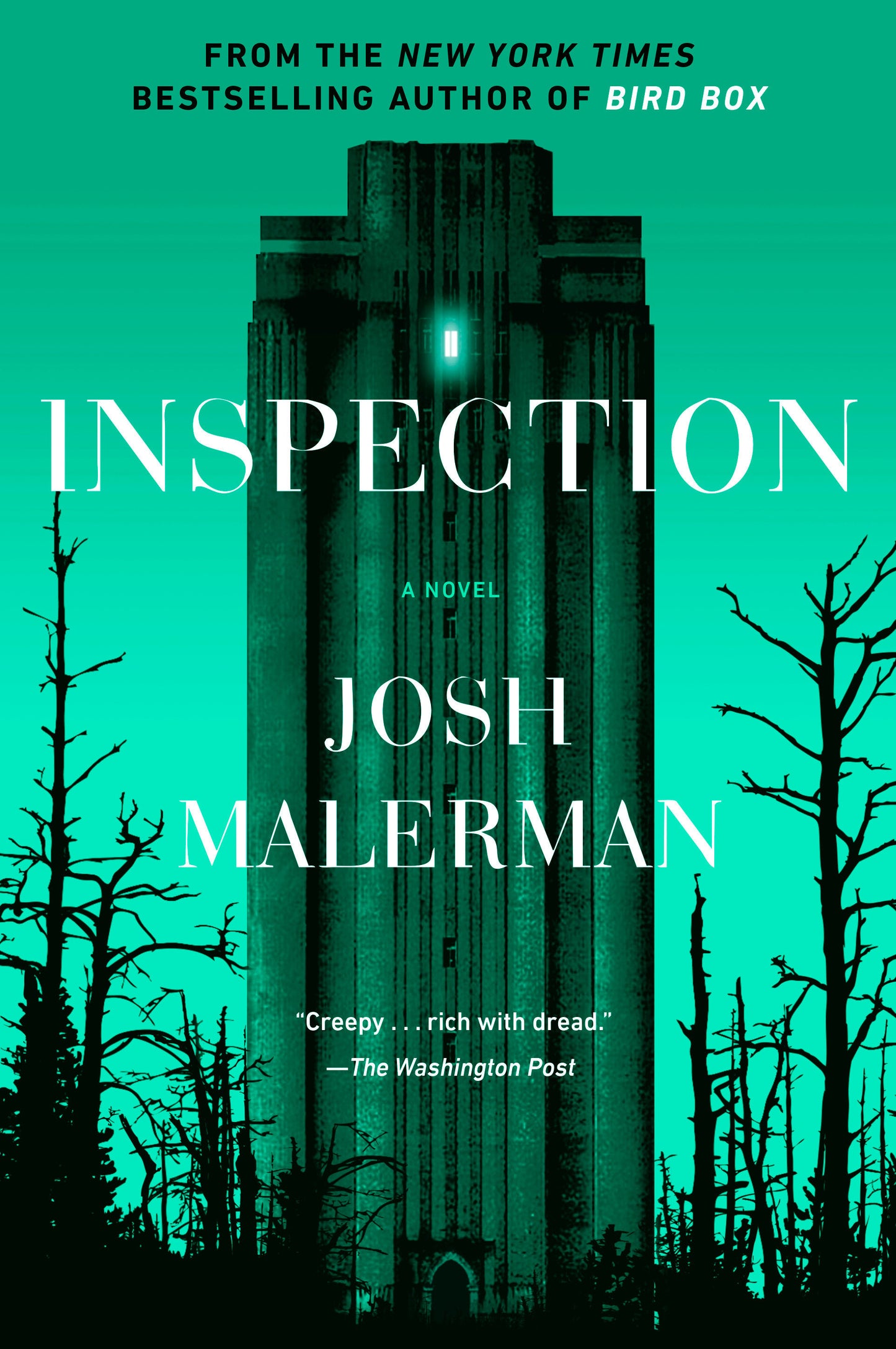 Inspection - A Novel