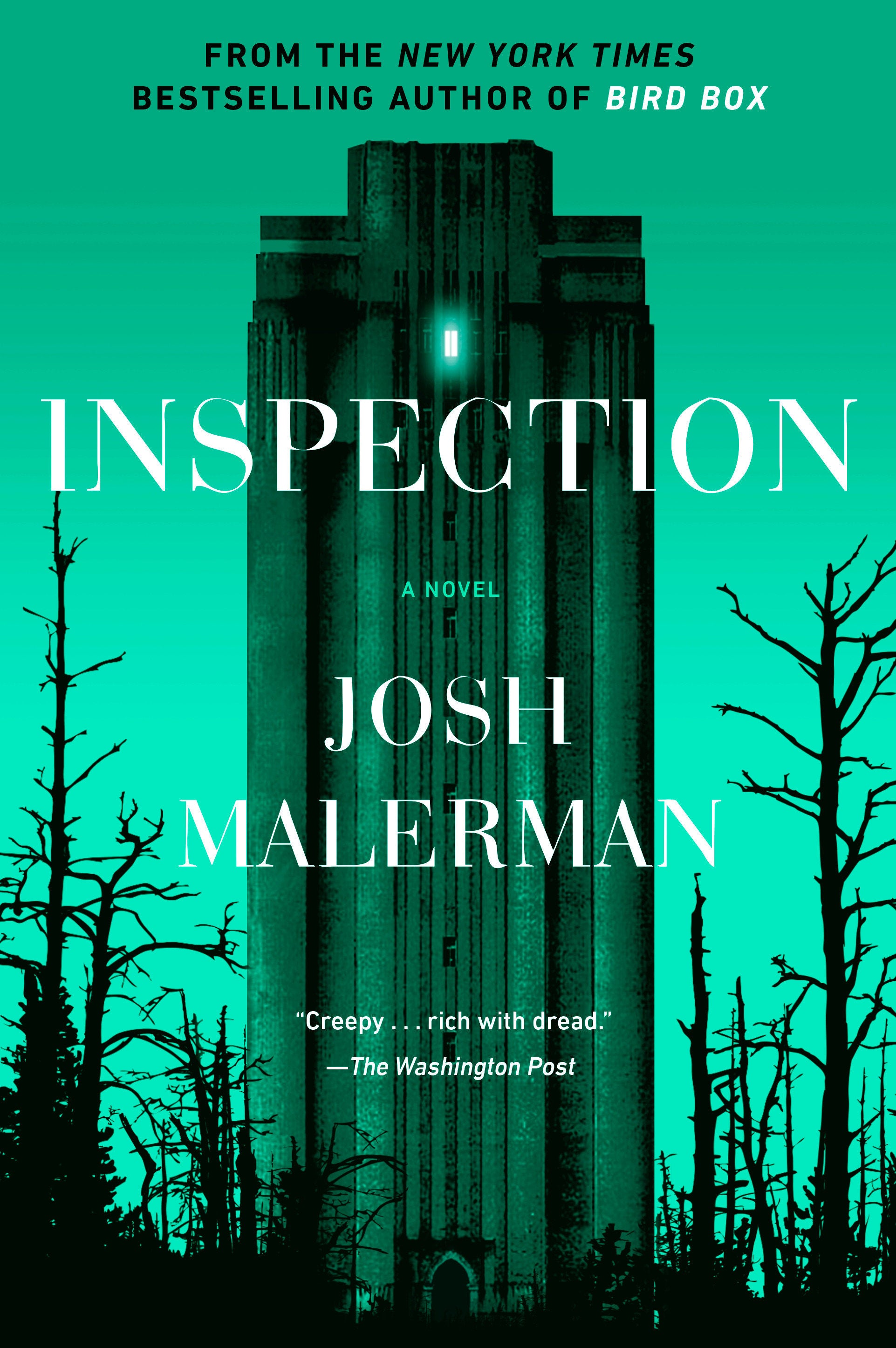 Inspection - A Novel