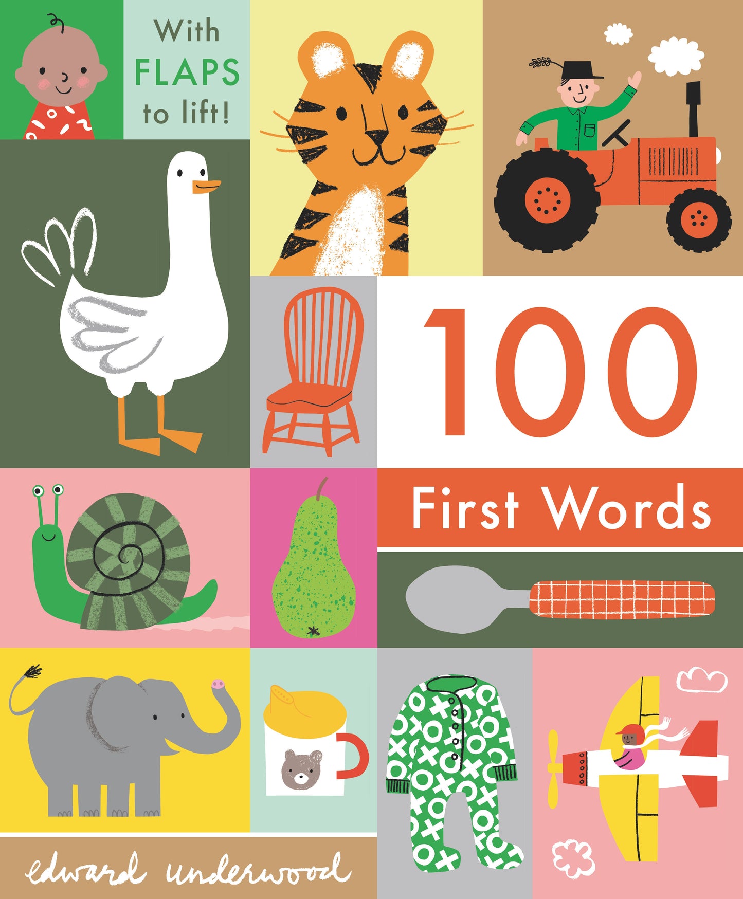 100 First Words: With Flaps to Lift (100 First Words)