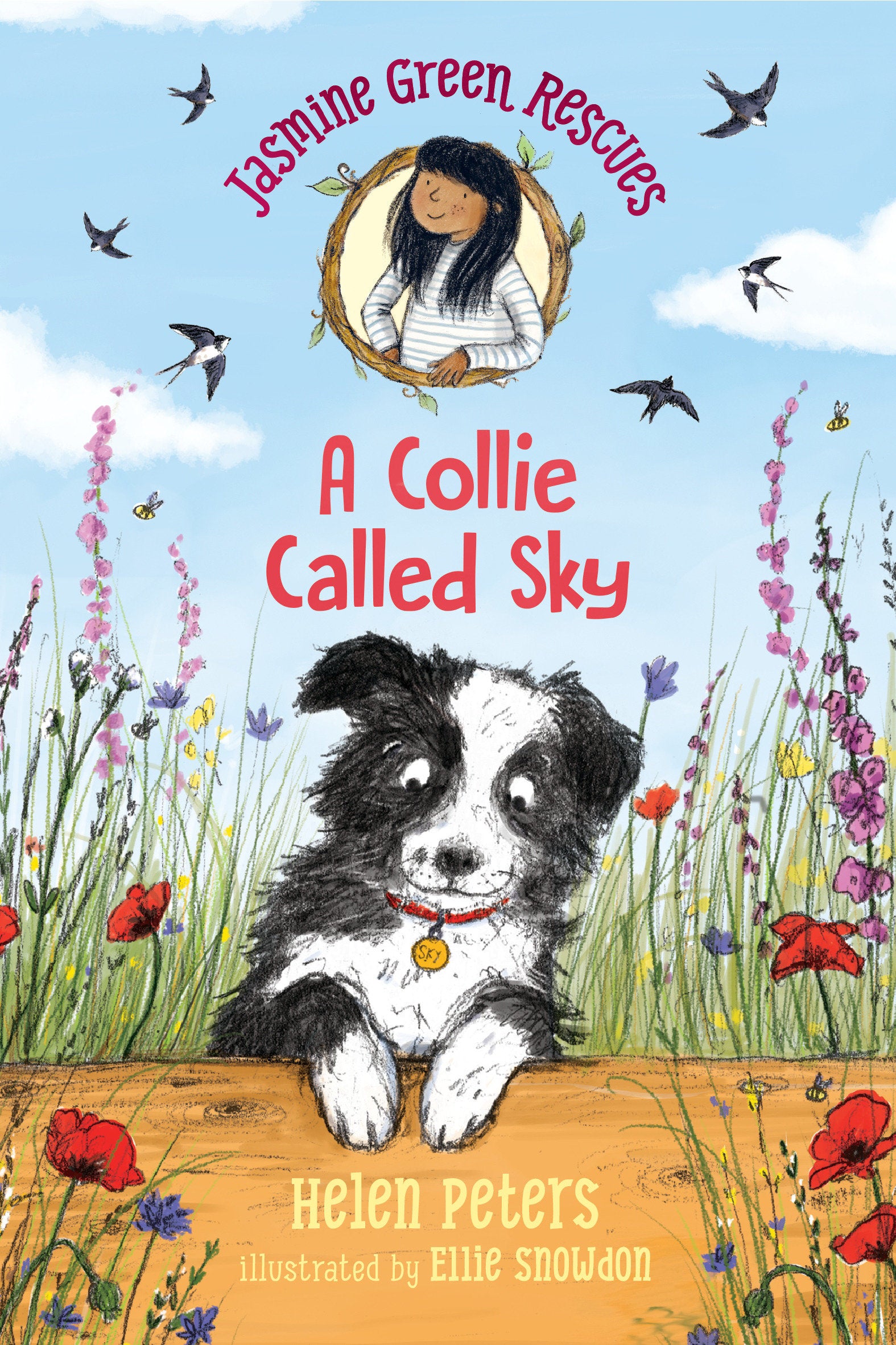 Jasmine Green Rescues: A Collie Called Sky (Jasmine Green) (Book:3)