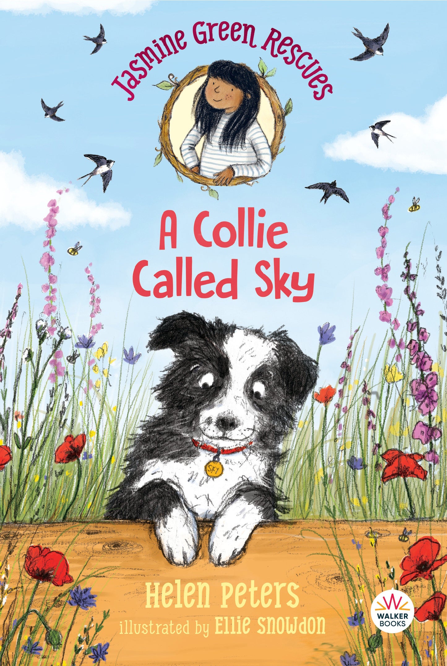 Jasmine Green Rescues: A Collie Called Sky (Jasmine Green) (Book:3)