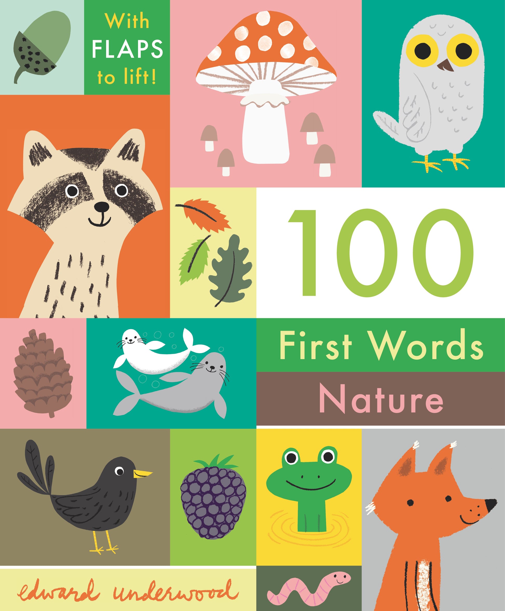 100 First Words: Nature: With Flaps to Lift (100 First Words)