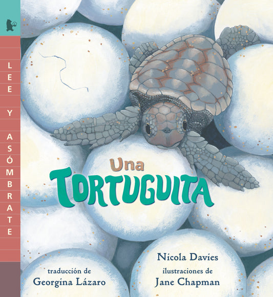 Una tortuguita - Lee y asómbrate (Lee y asómbrate)