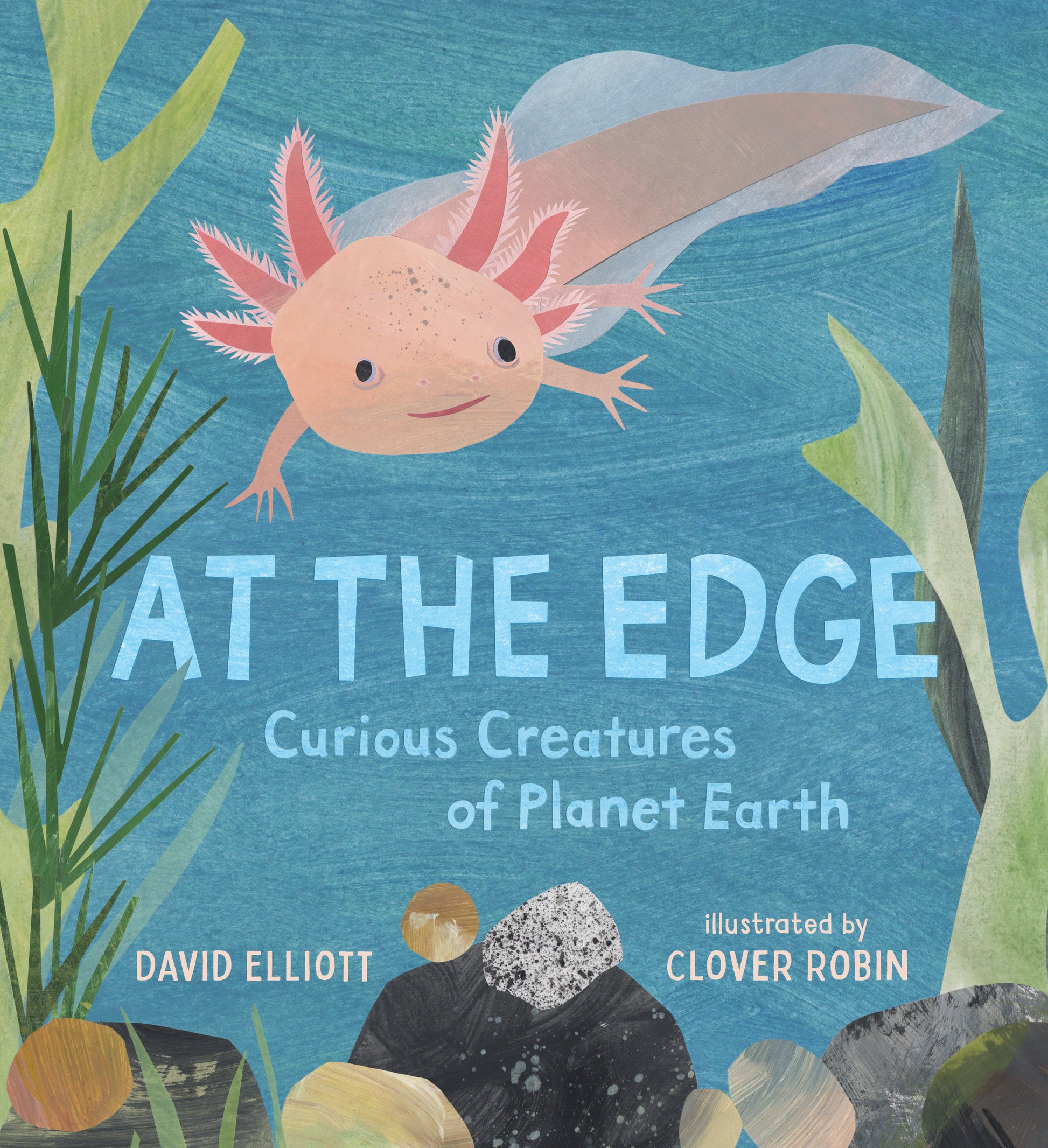At the Edge: Curious Creatures of Planet Earth (Paws, Fins, Feathers, Claws) (Book:10)
