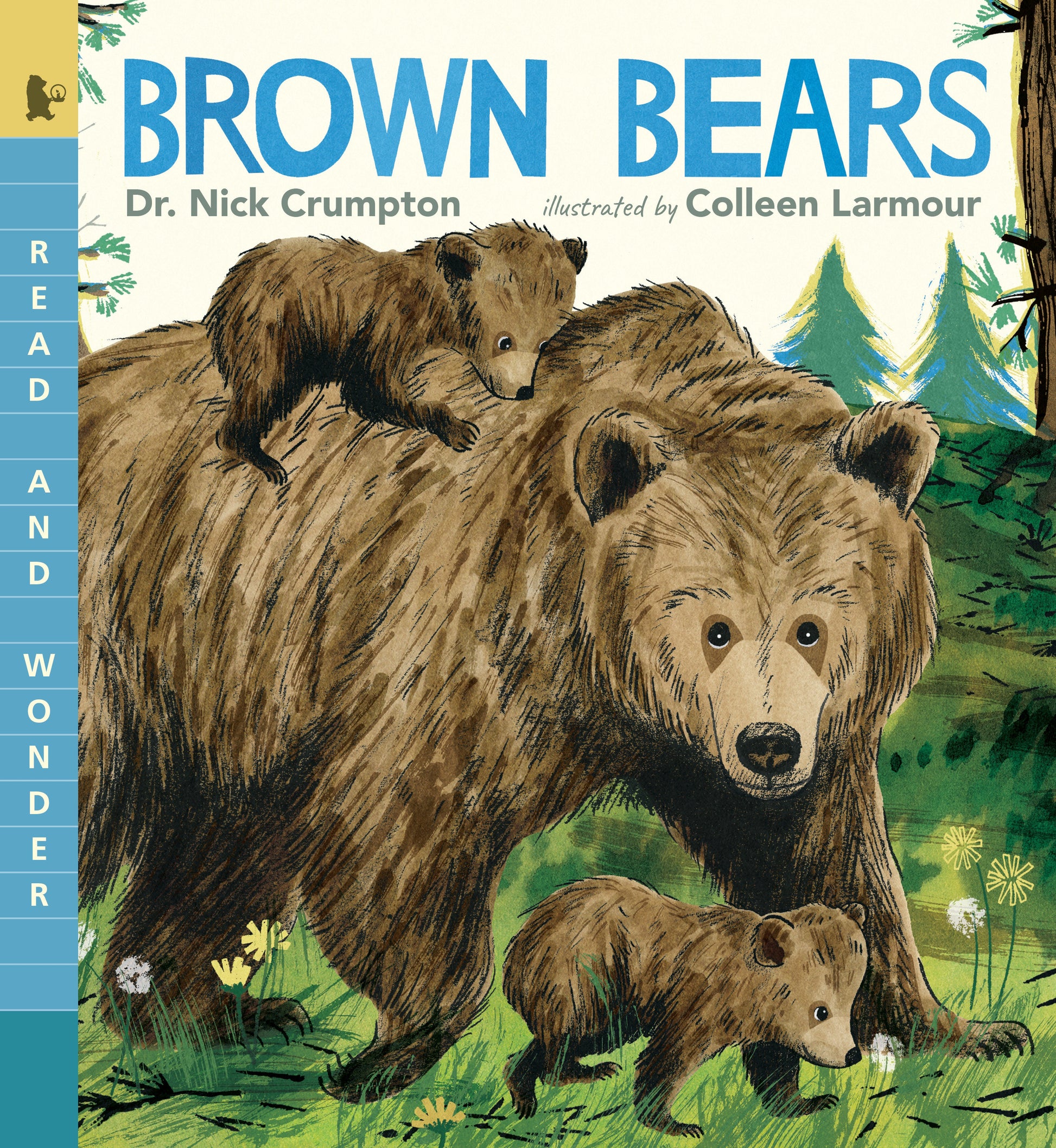 Brown Bears - Read and Wonder (Read and Wonder)