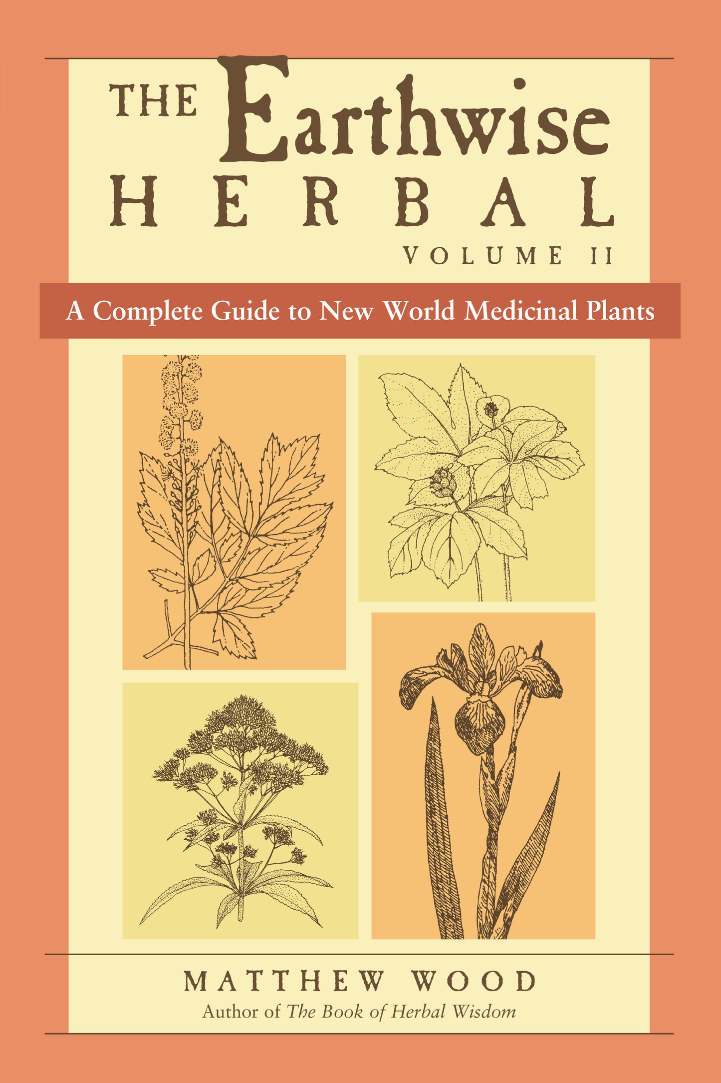 The Earthwise Herbal, Volume II - A Complete Guide to New World Medicinal Plants