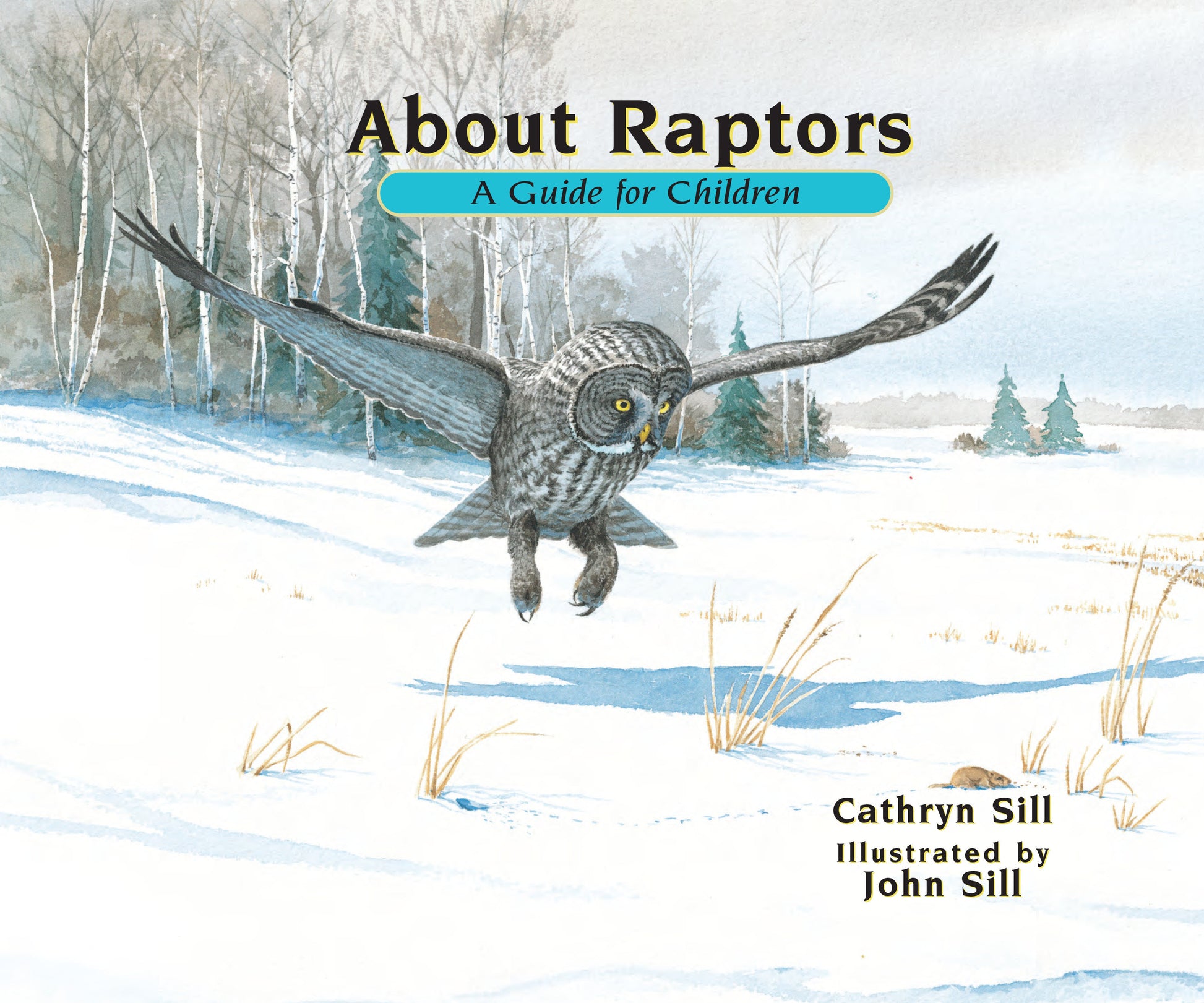 About Raptors - A Guide for Children (Educational Science Book About Bald Eagles, Owls & Other Birds) (About. . .) (Book:13)