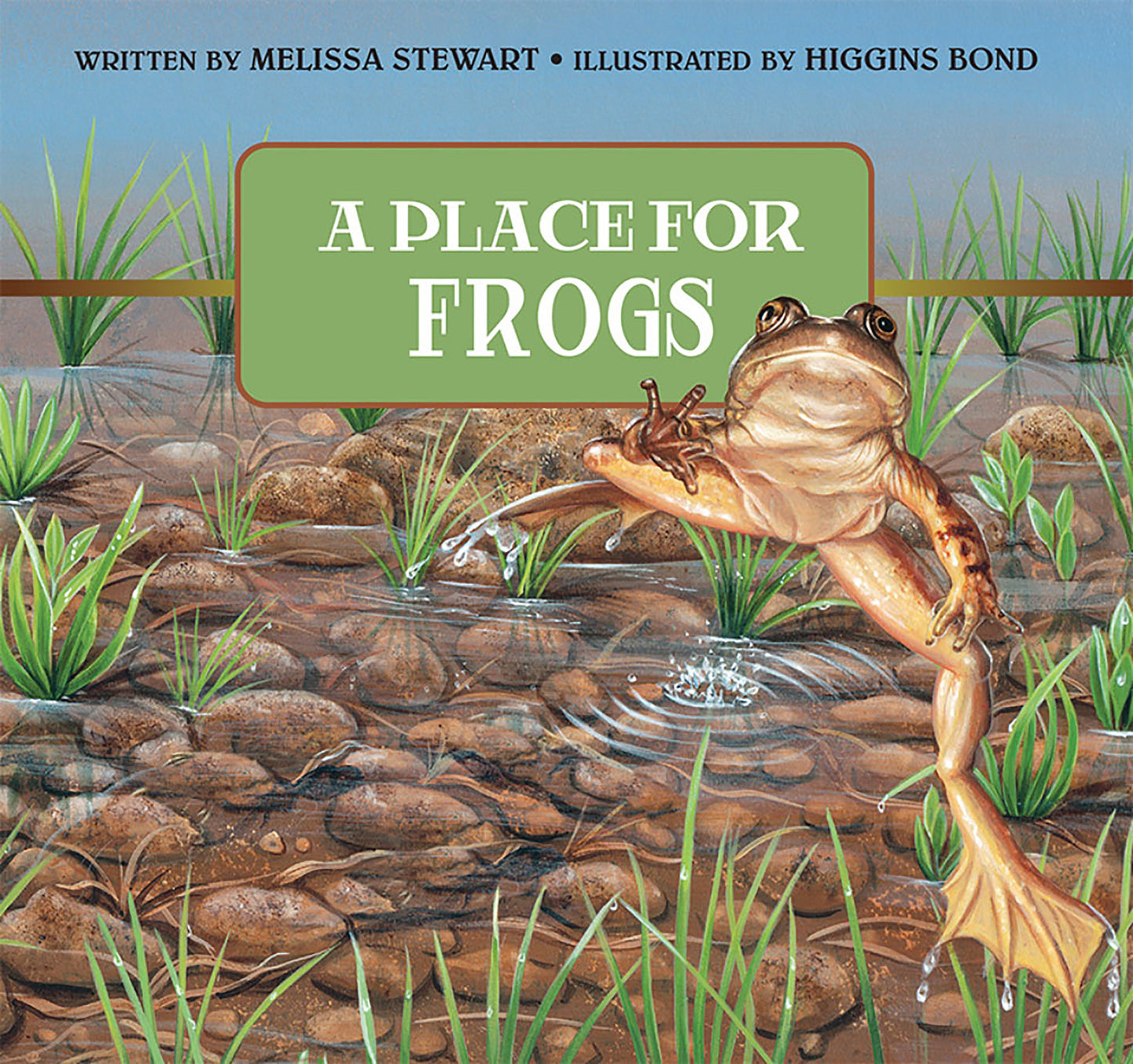 A Place for Frogs (A Place For. . .) (Book:3)