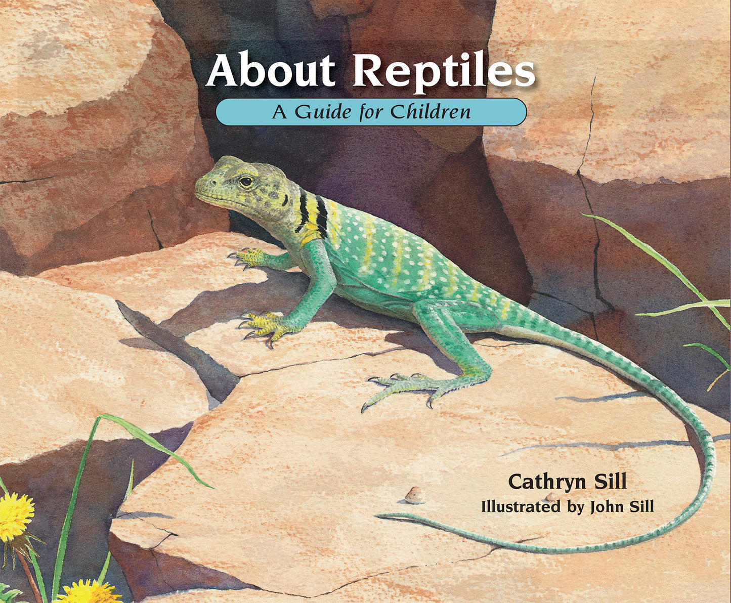 About Reptiles - A Guide for Children (Educational Science Book About Snakes, Lizards, Turtles, & More) (About. . .) (Book:3)