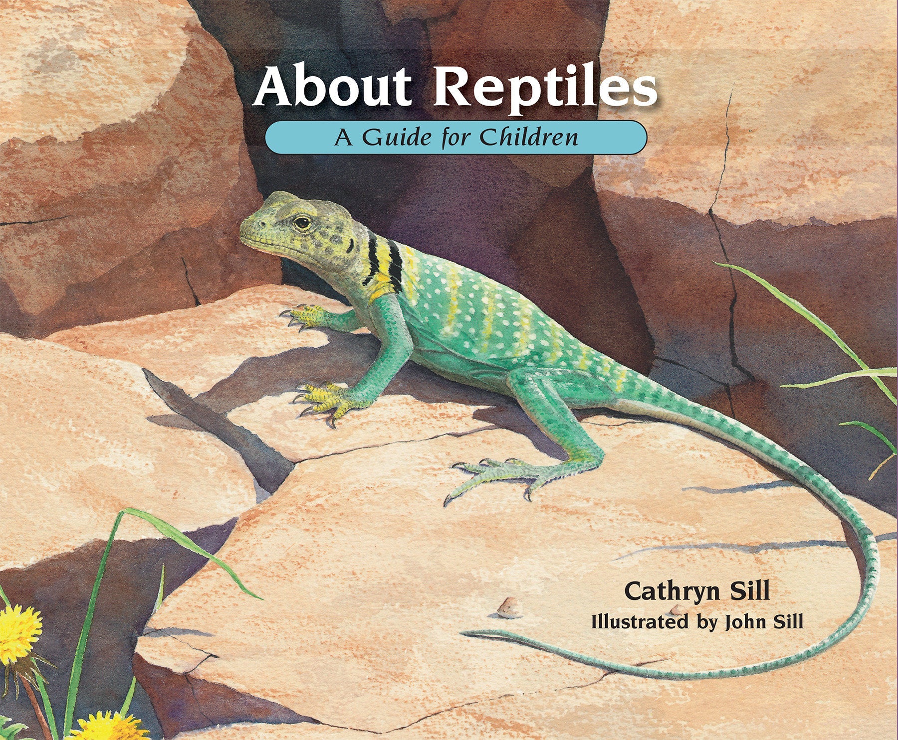 About Reptiles - A Guide for Children (Educational Science Book About Snakes, Lizards, Turtles, & More) (About. . .) (Book:3)