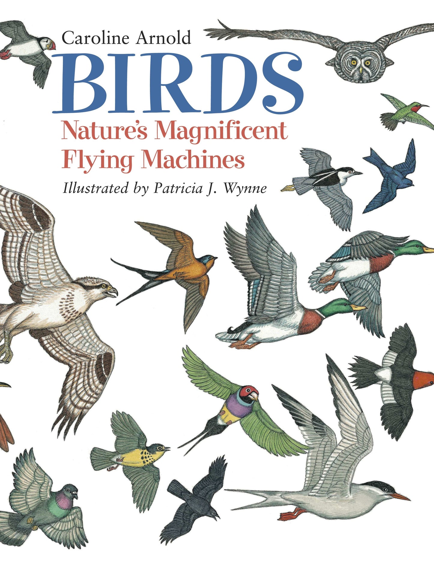 Birds - Nature's Magnificent Flying Machines