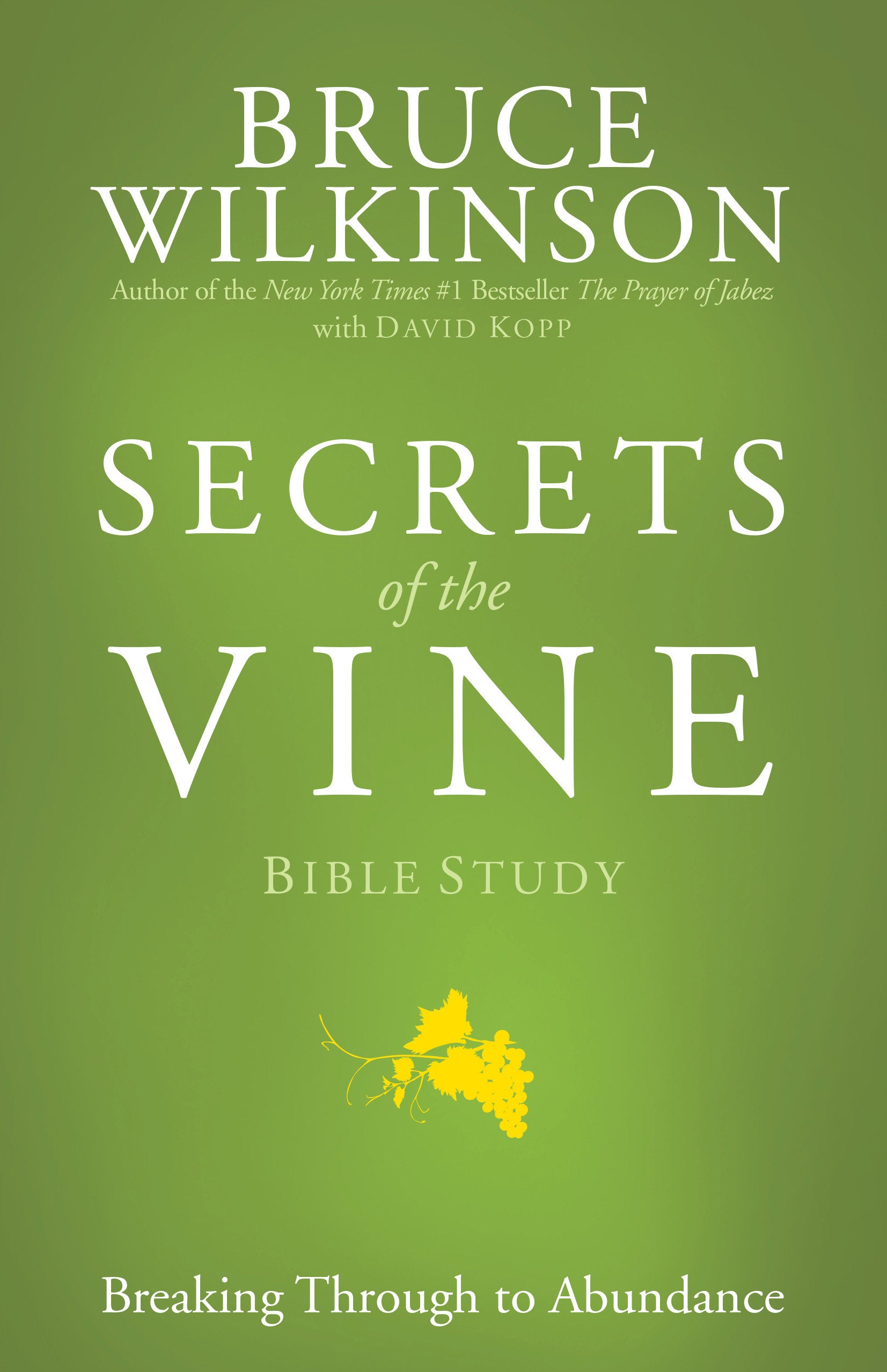 Secrets of the Vine Bible Study - Breaking Through to Abundance