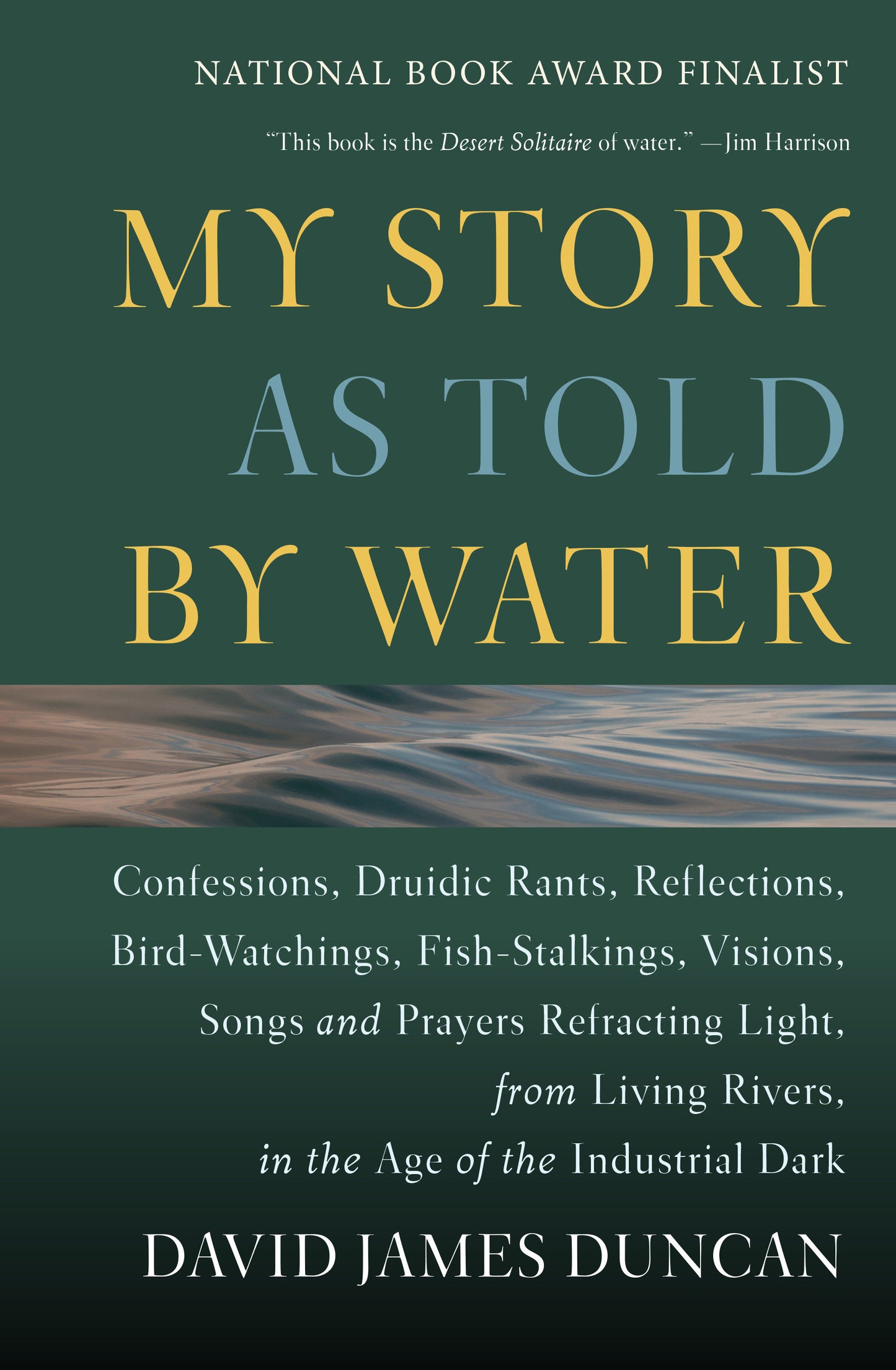 My Story as Told by Water - Confessions, Druidic Rants, Reflections, Bird-watchings, Fish-stalkings, Visions, Songs and Prayers Refracting Light, From Living Rivers, in the Age of the Indu