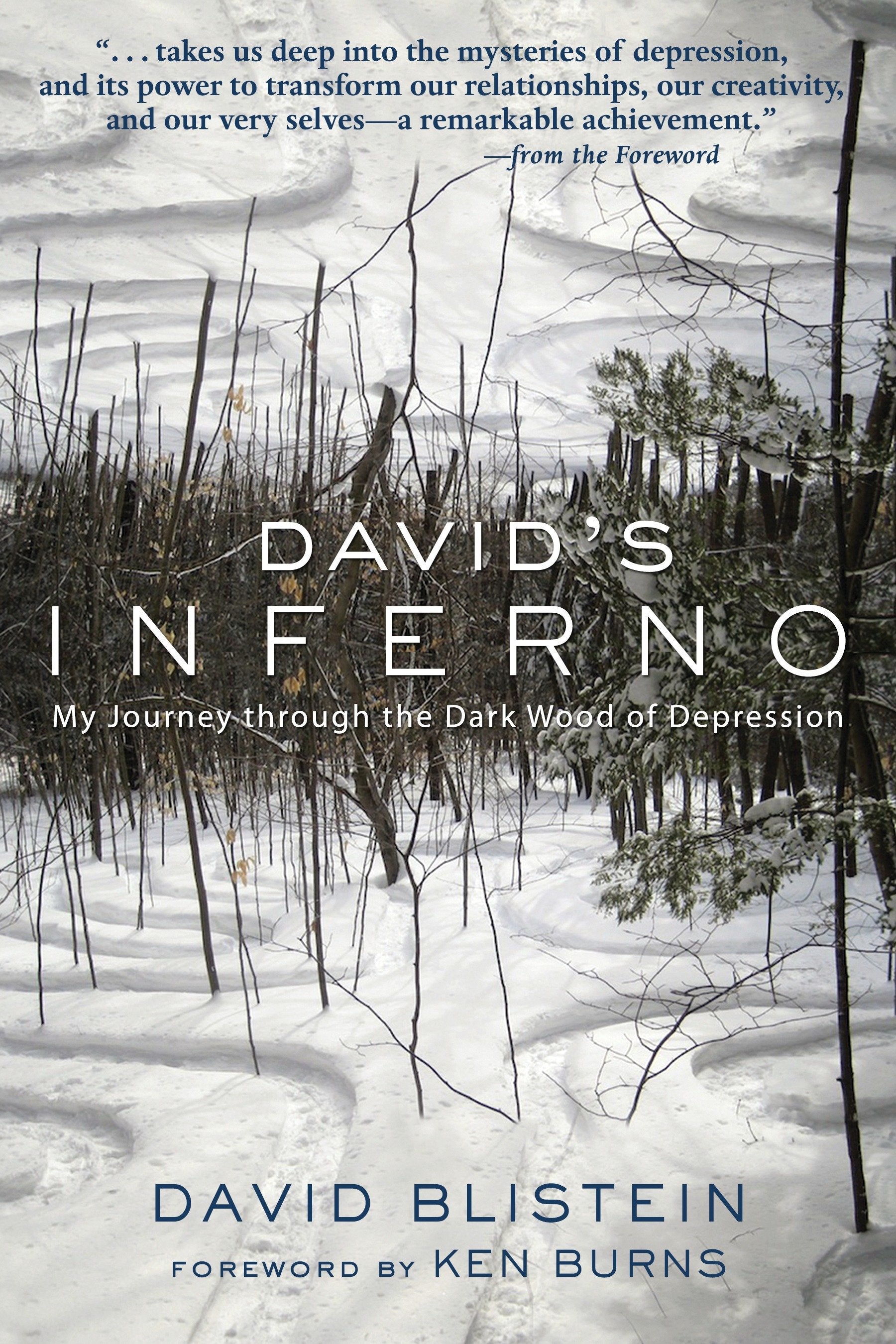 David's Inferno - My Journey Through the Dark Wood of Depression