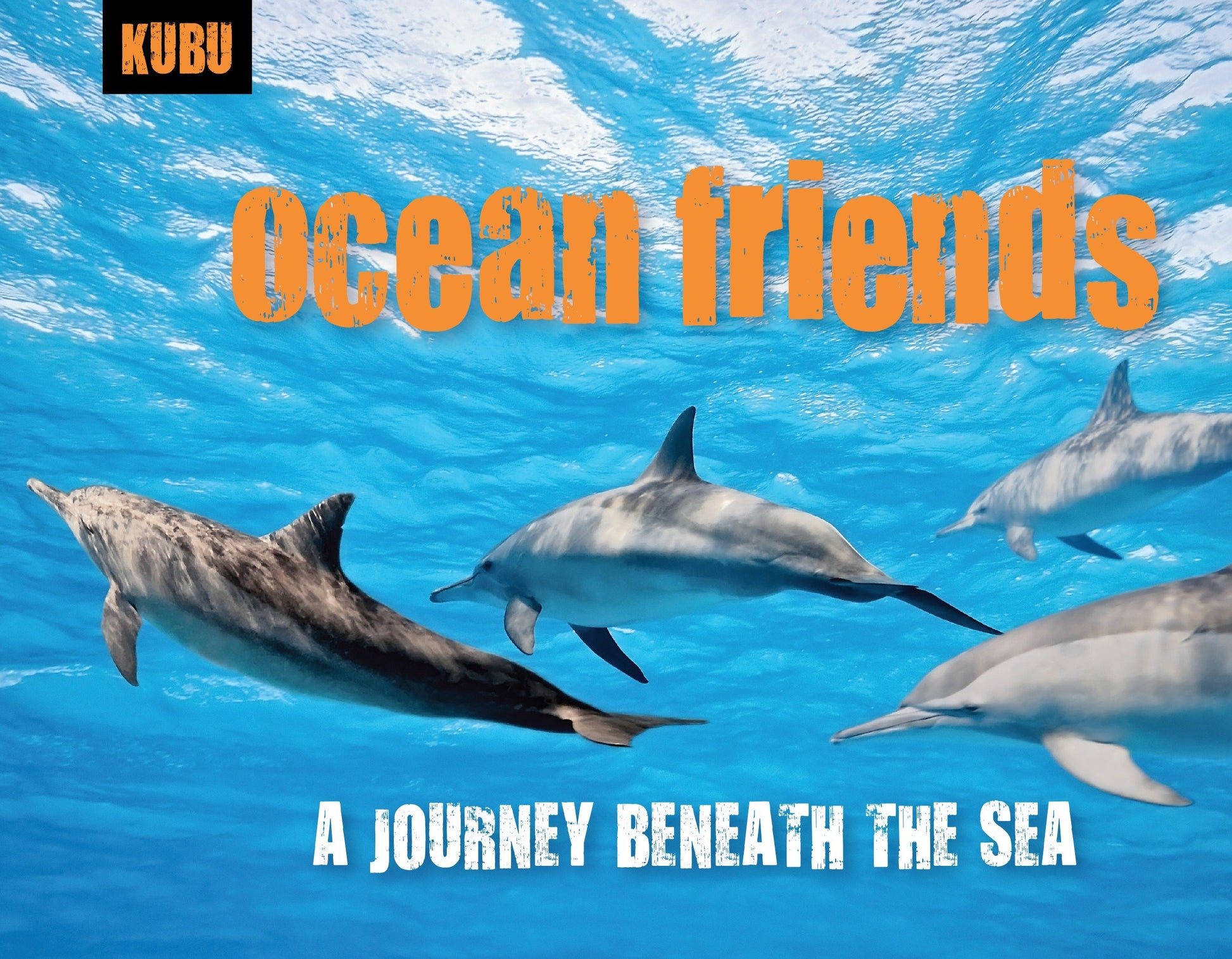 Ocean Friends - A Journey Beneath the Sea (KUBU) (Book:1)