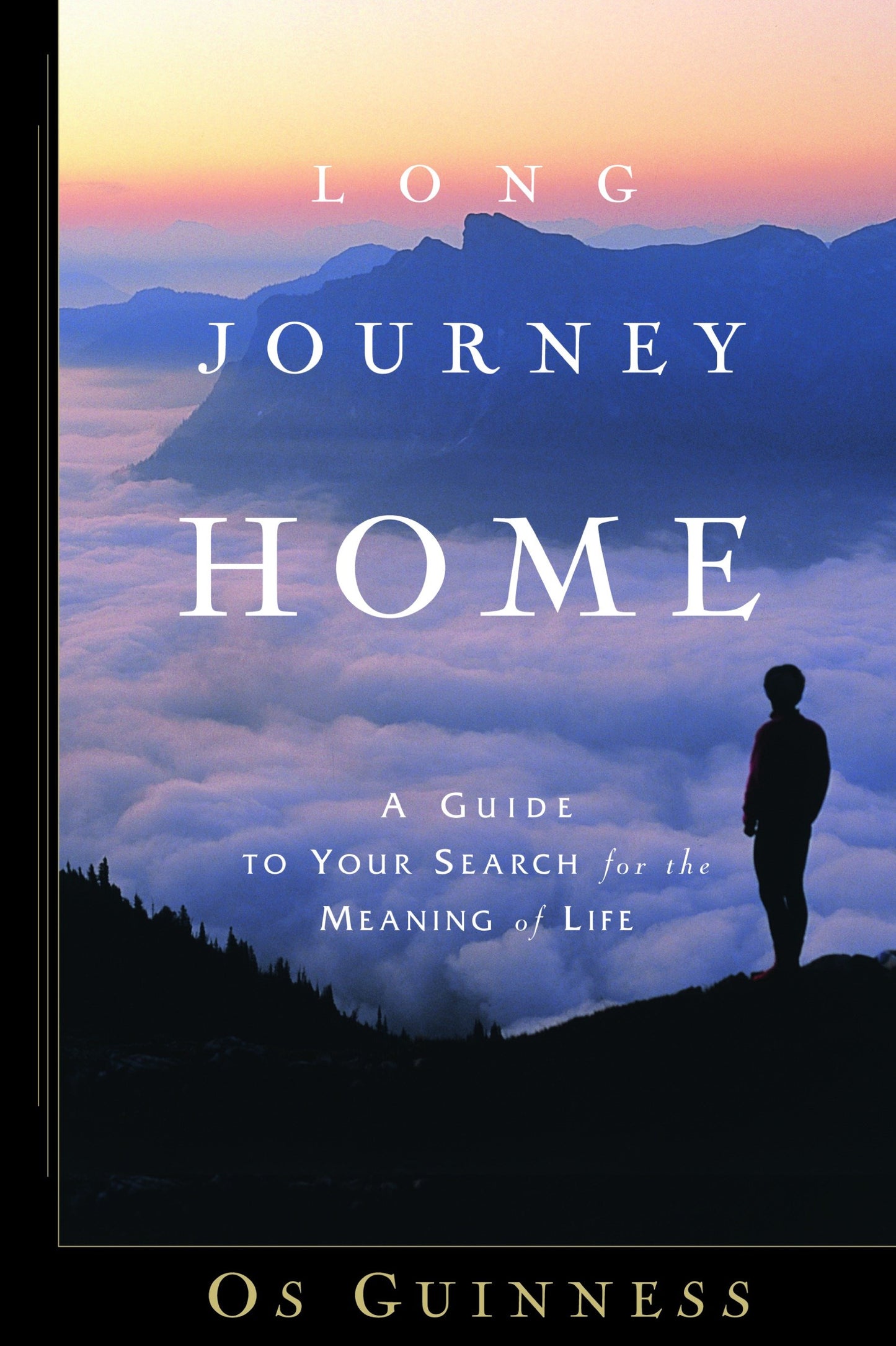 Long Journey Home - A Guide to Your Search for the Meaning of Life