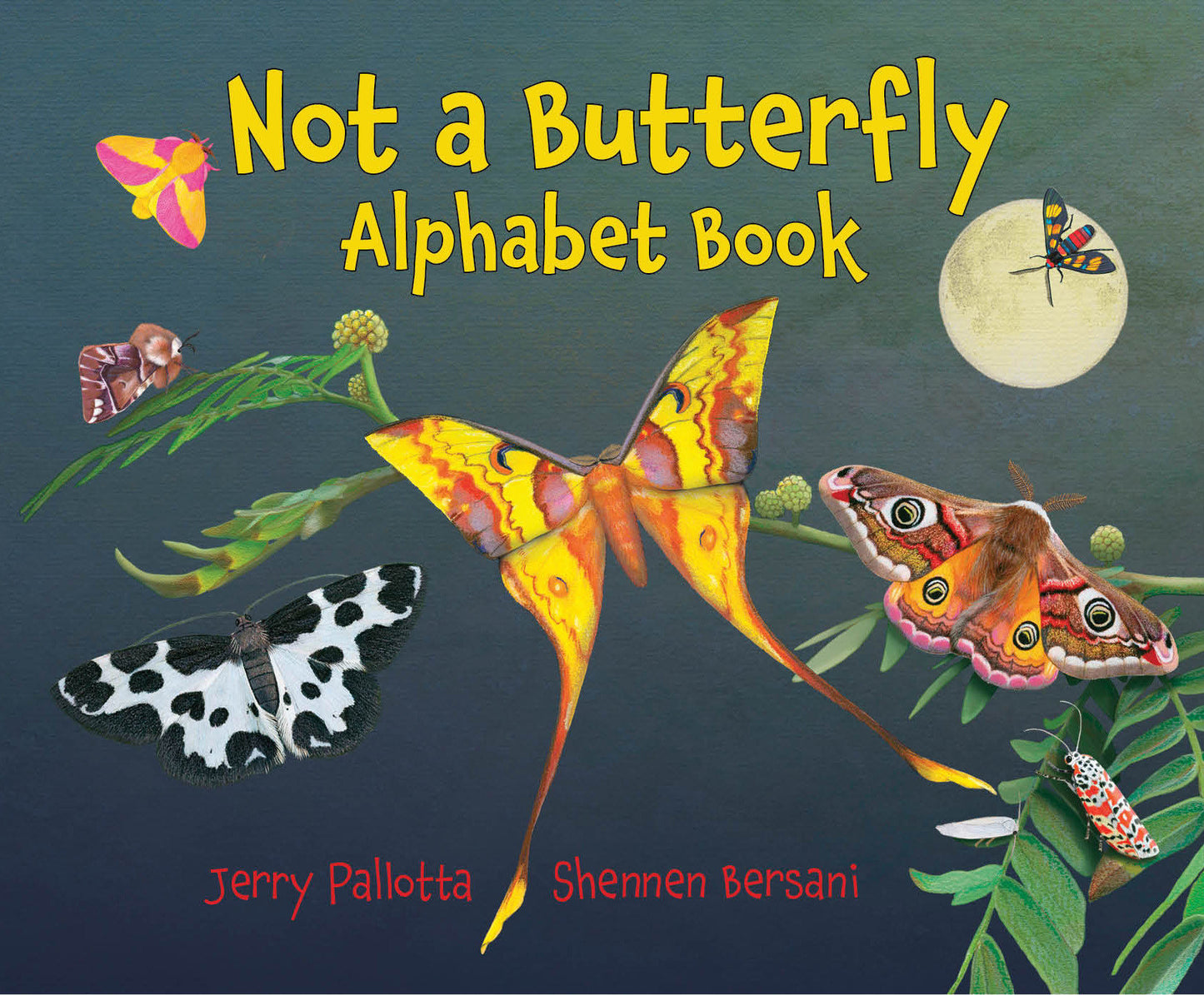Not a Butterfly Alphabet Book - It's About Time Moths Had Their Own Book!