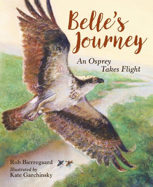 Belle's Journey - An Osprey Takes Flight