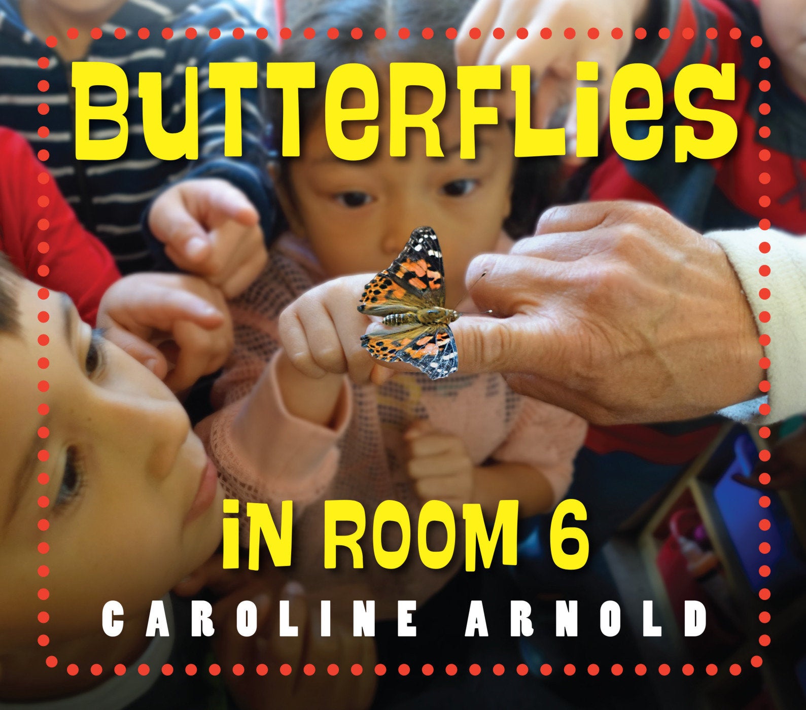 Butterflies in Room 6 - See How They Grow (Life Cycles in Room 6)