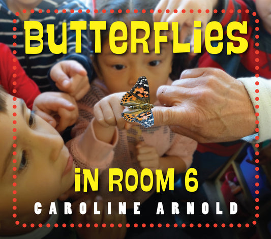 Butterflies in Room 6 - See How They Grow (Life Cycles in Room 6)