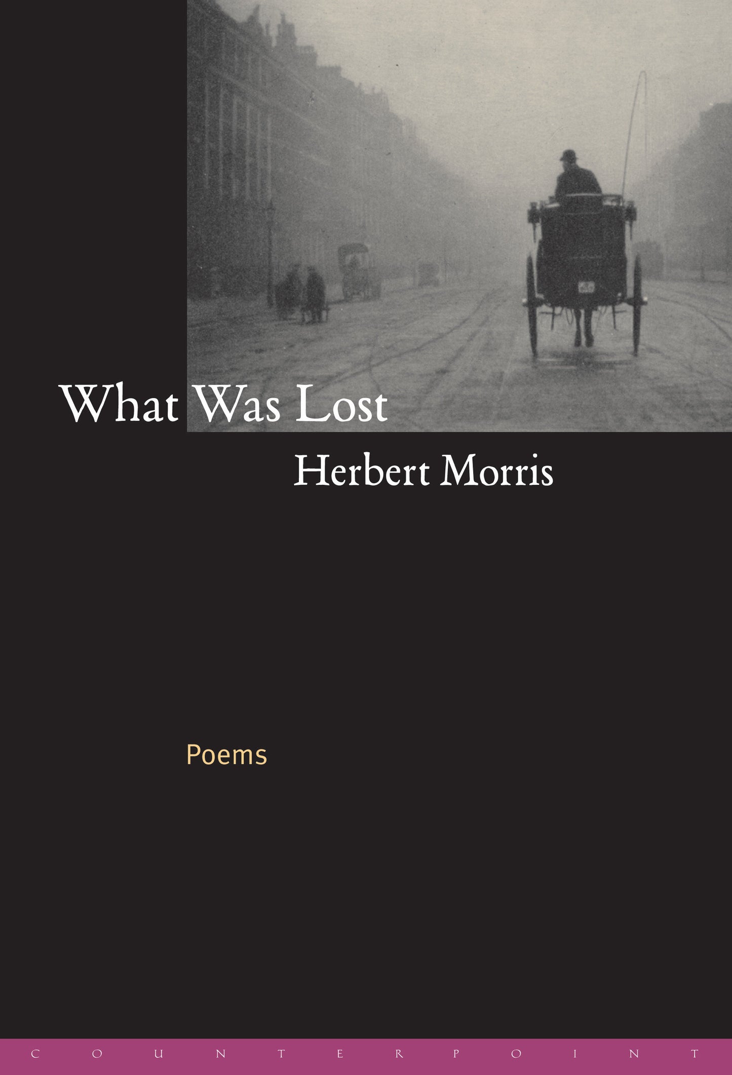 What Was Lost - Poems