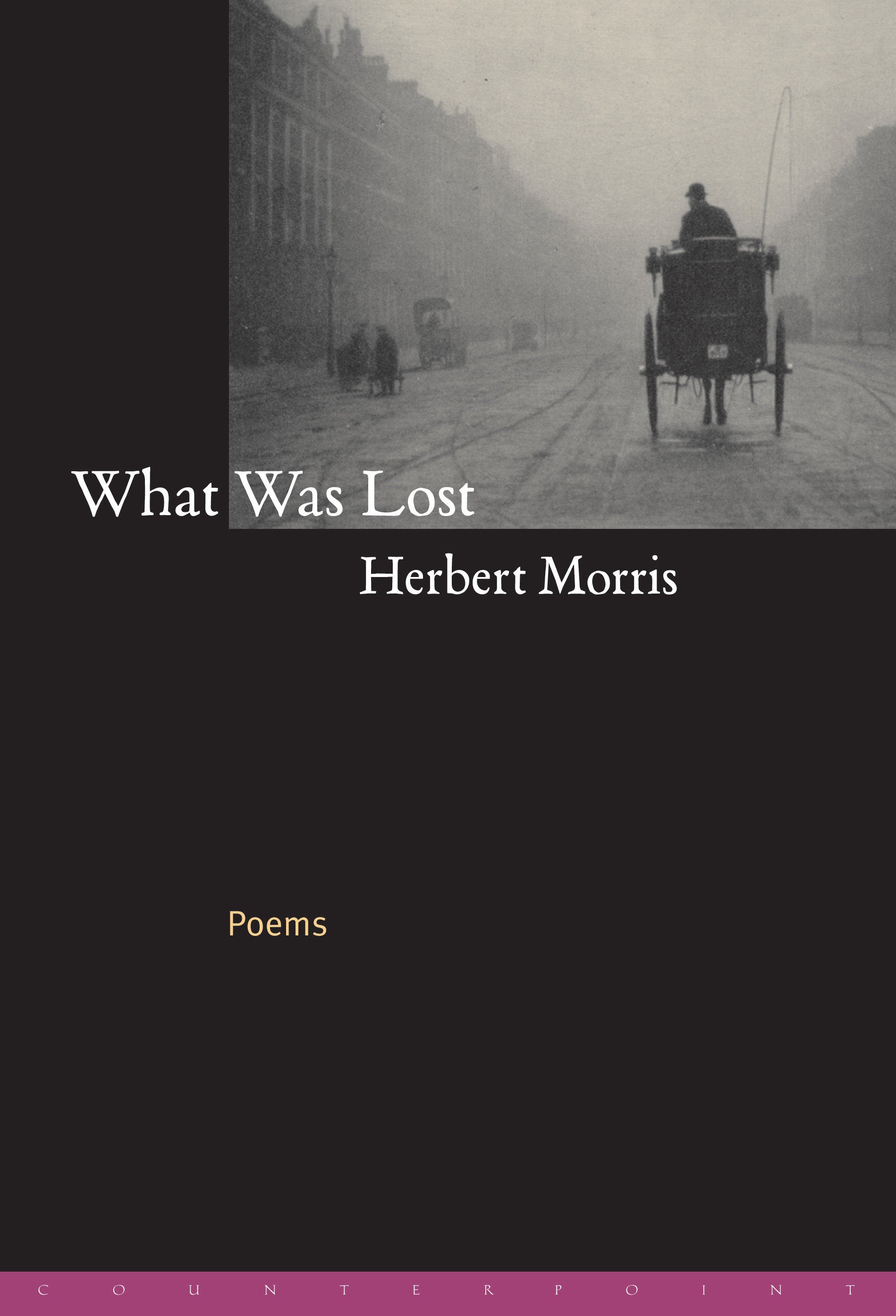 What Was Lost - Poems
