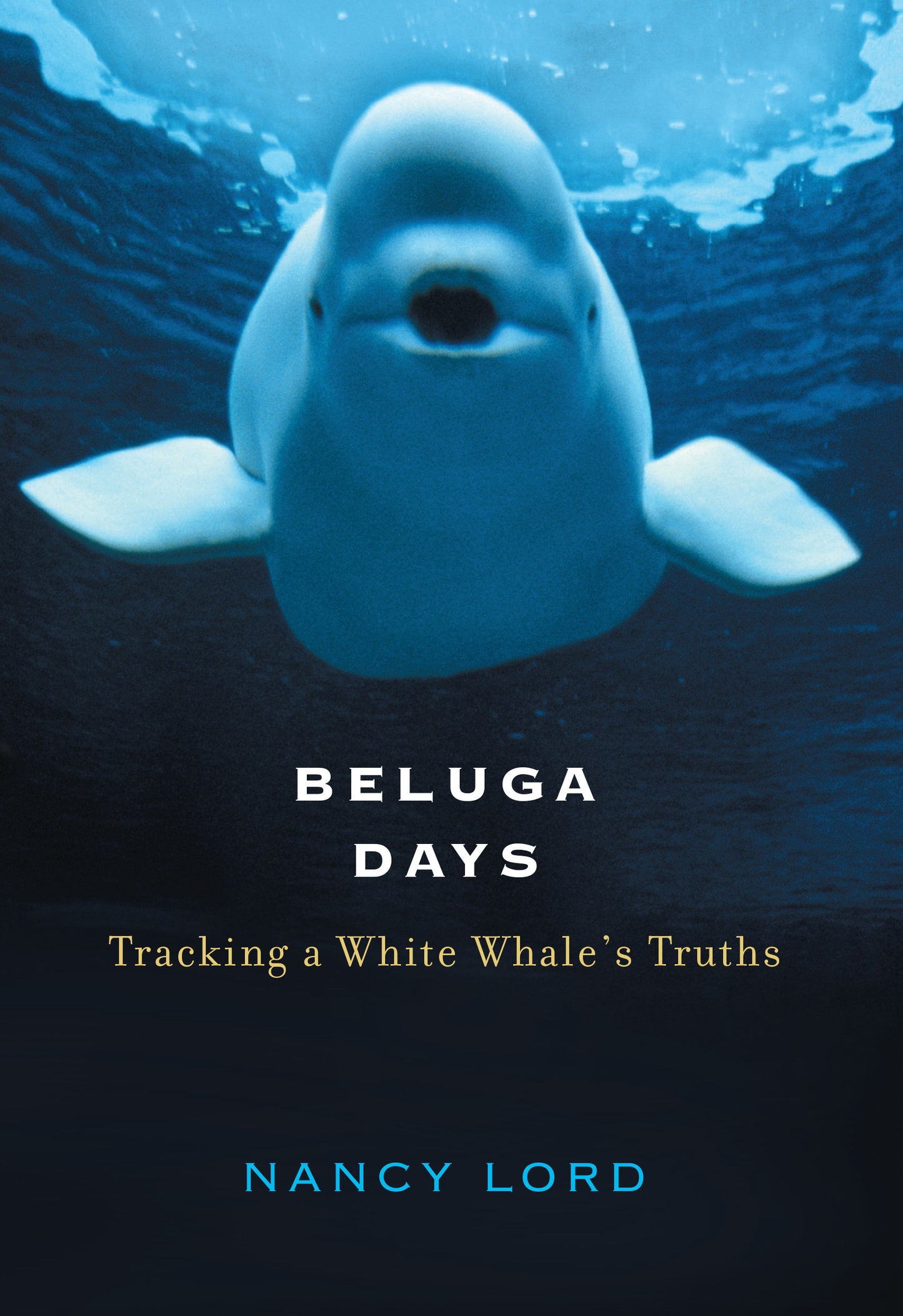 Beluga Days - Tracking a White Whale's Truths