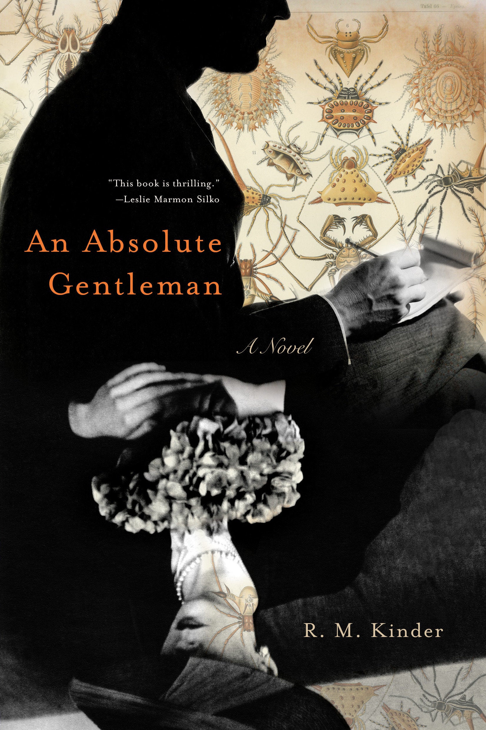 An Absolute Gentleman - A Novel