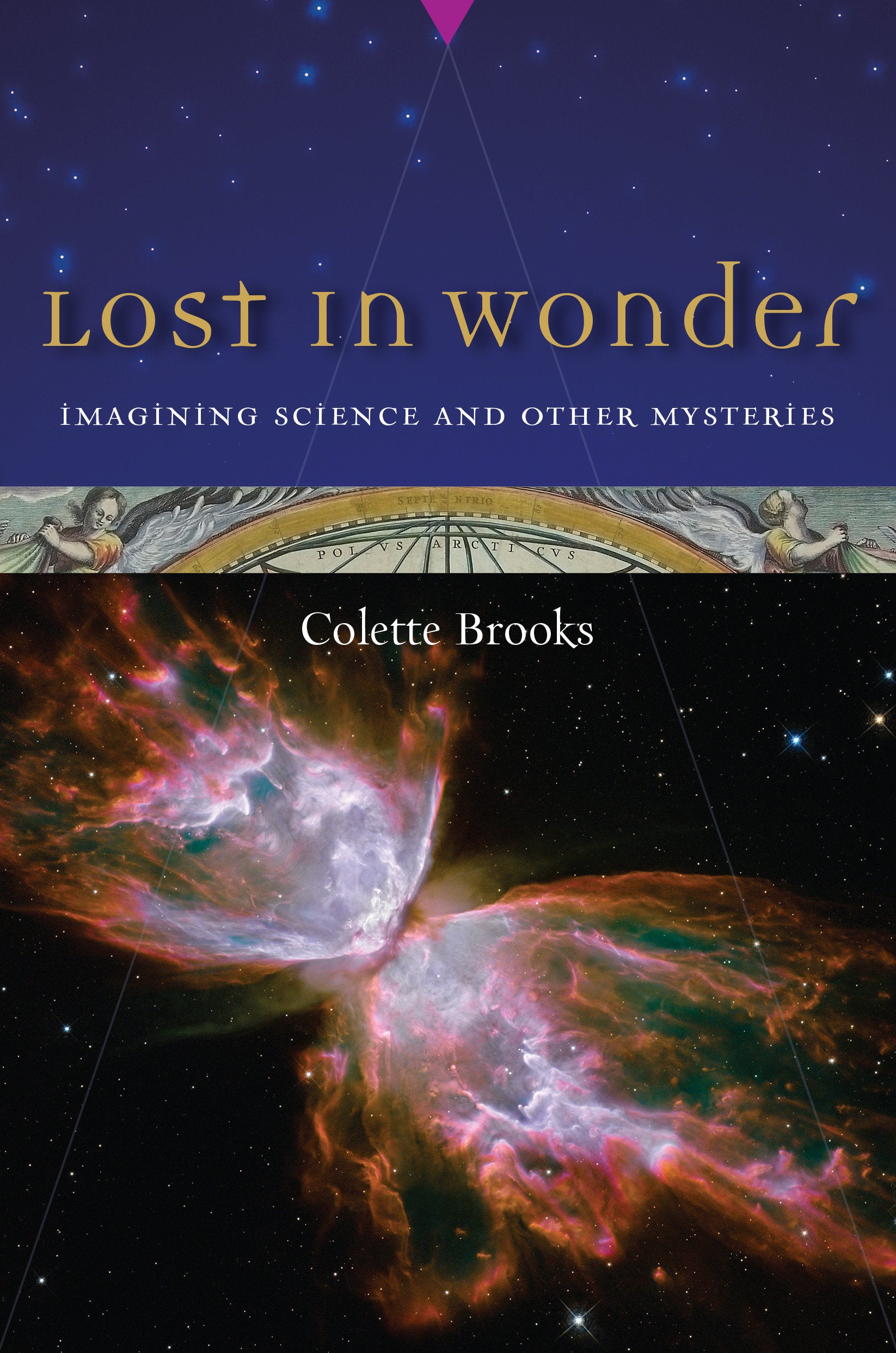 Lost in Wonder - Imagining Science and Other Mysteries