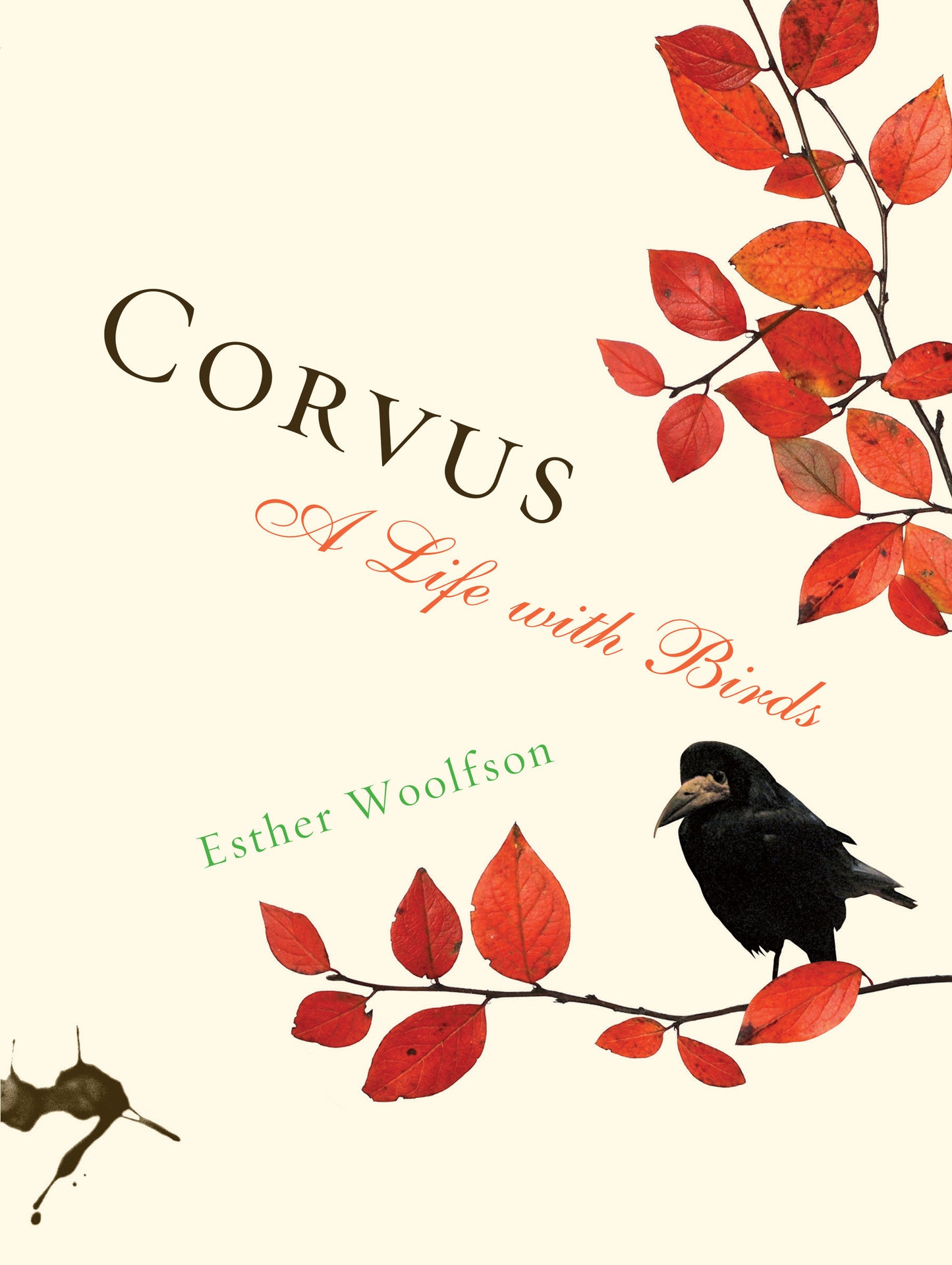 Corvus - A Life with Birds