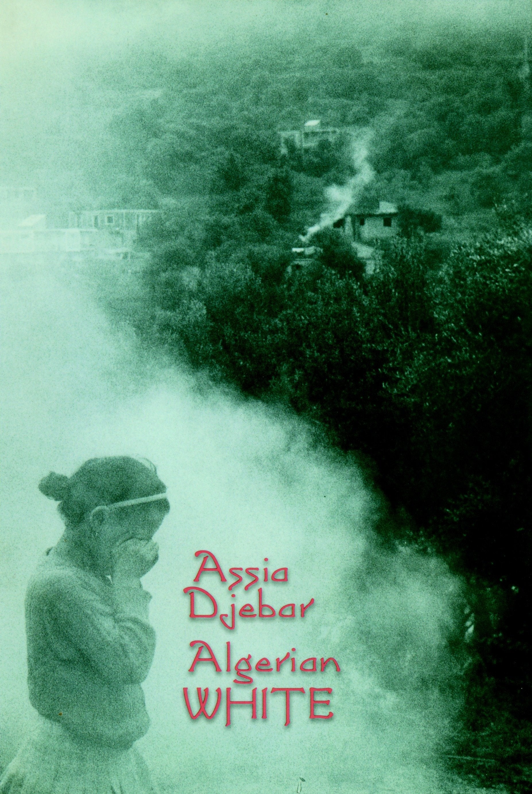 Algerian White - A Narrative