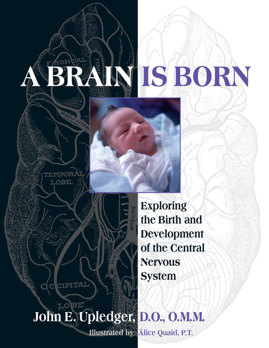 A Brain Is Born - Exploring the Birth and Development of the Central Nervous System