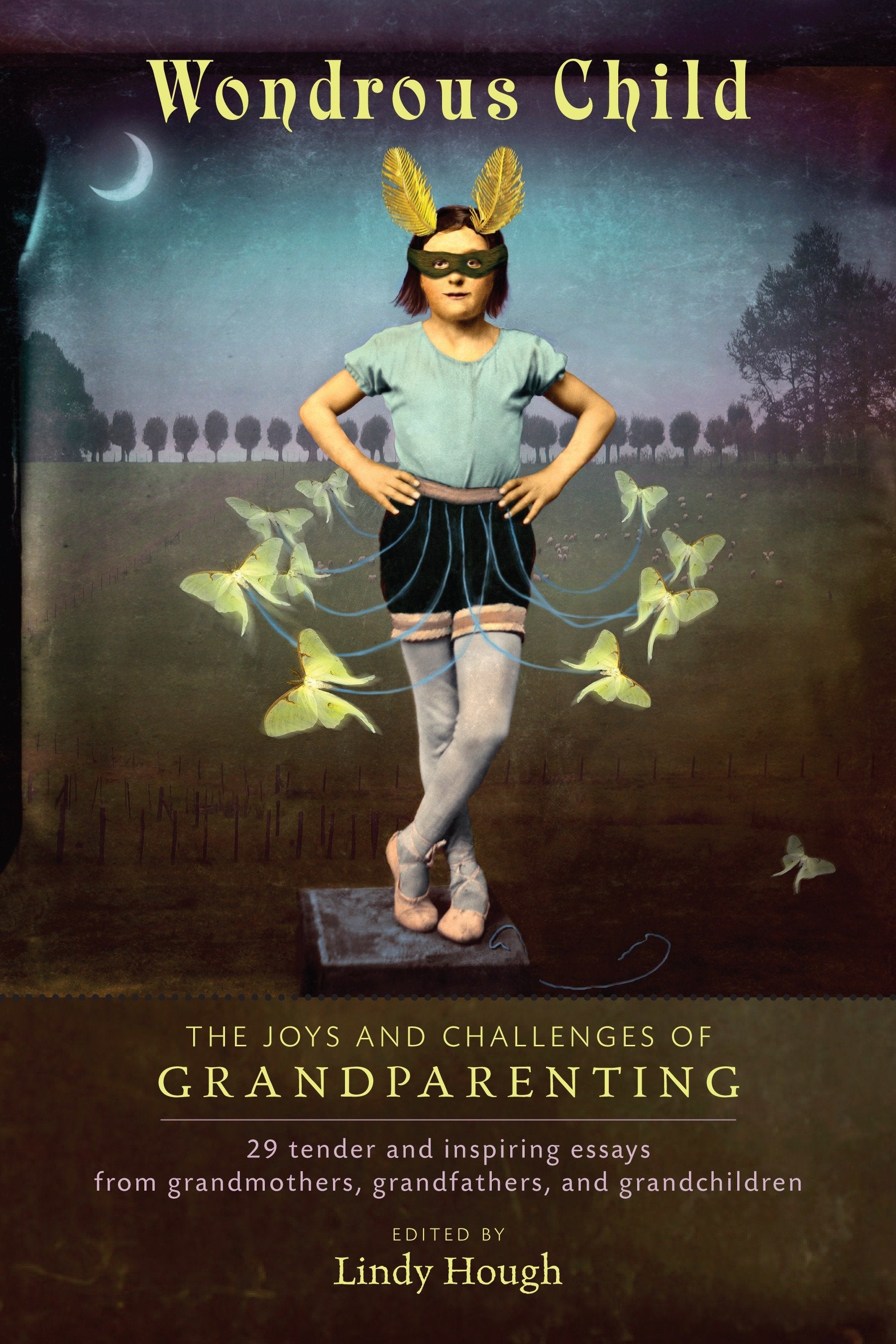 Wondrous Child - The Joys and Challenges of Grandparenting (Io Series) (Book:70)