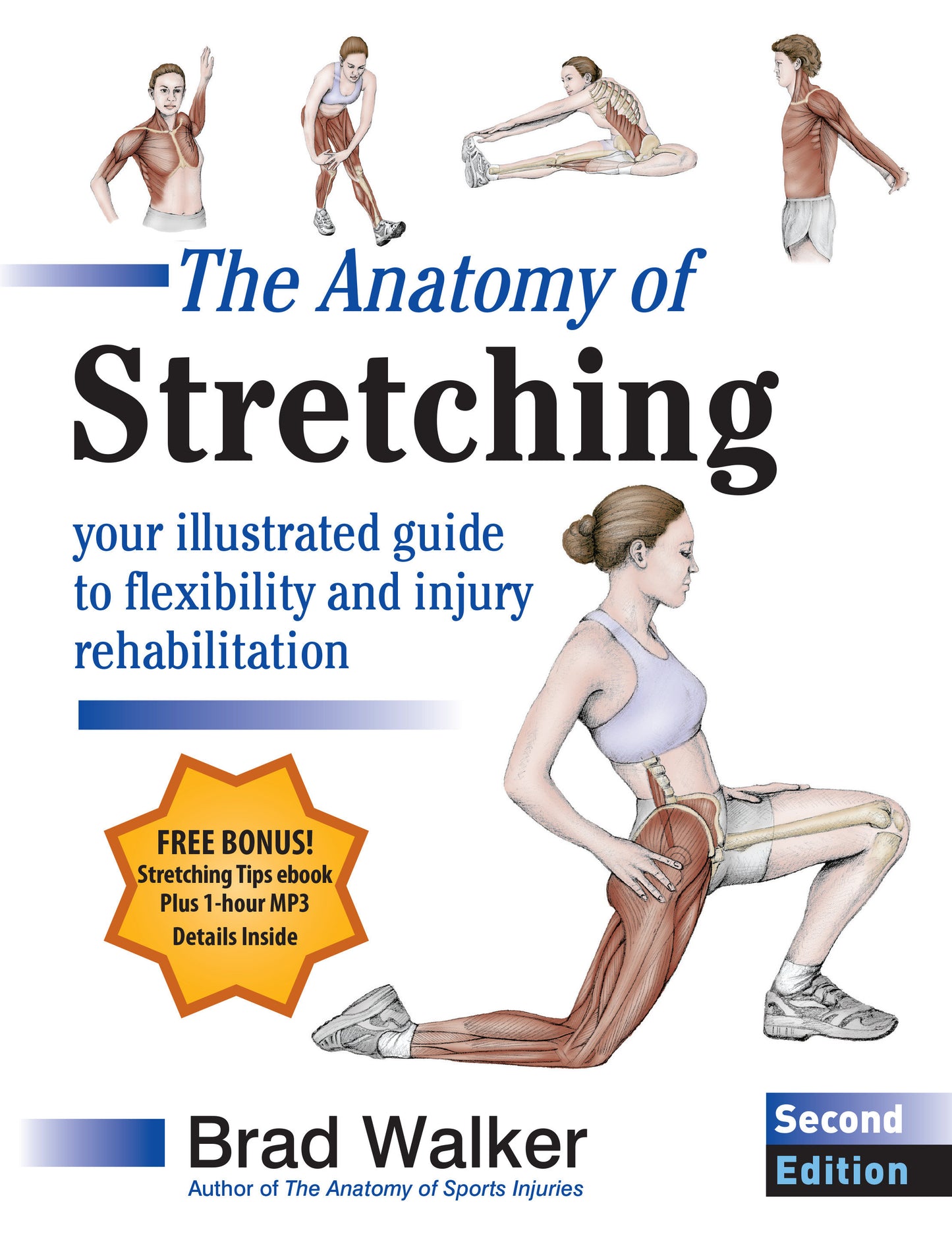 The Anatomy of Stretching, Second Edition - Your Illustrated Guide to Flexibility and Injury Rehabilitation