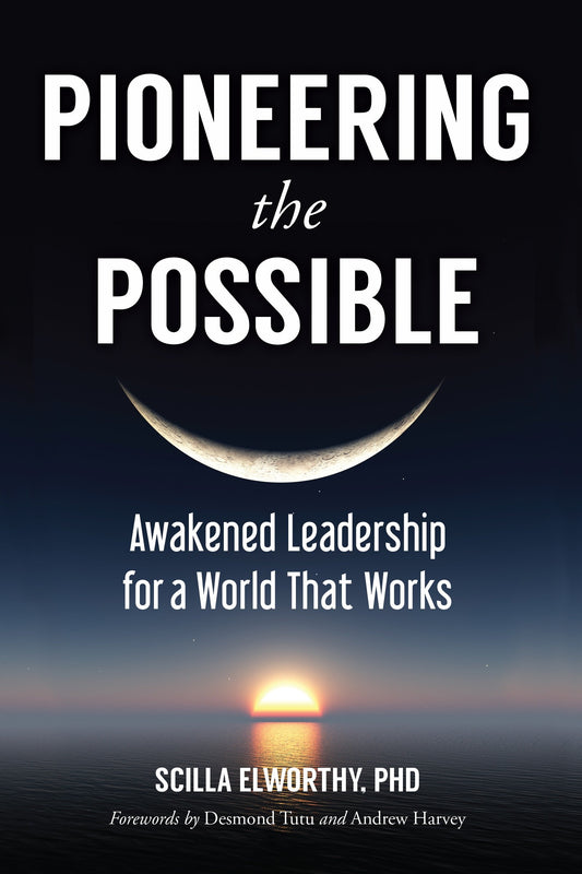 Pioneering the Possible - Awakened Leadership for a World That Works (Sacred Activism) (Book:7)