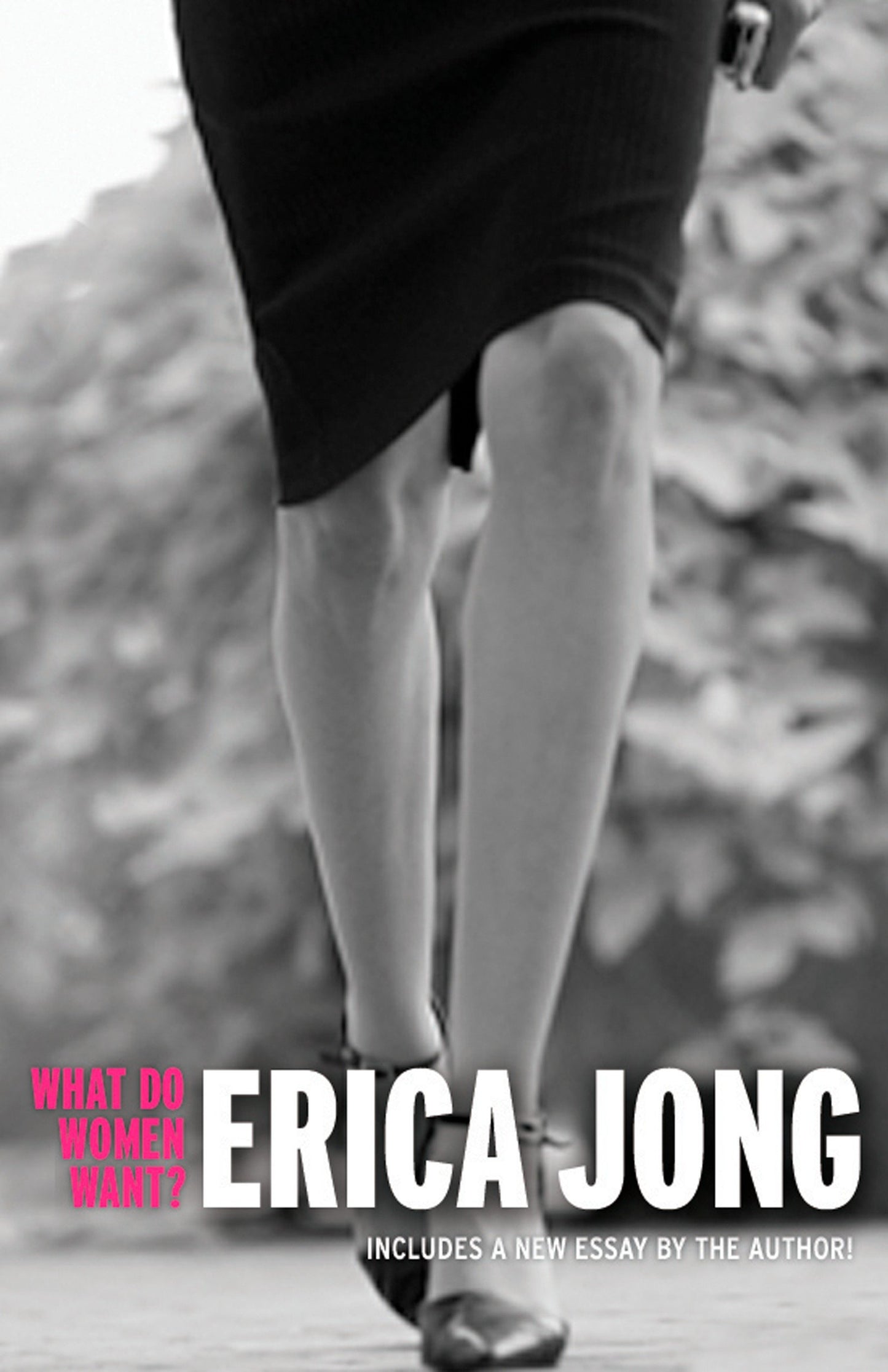 What Do Women Want? - Essays by Erica Jong