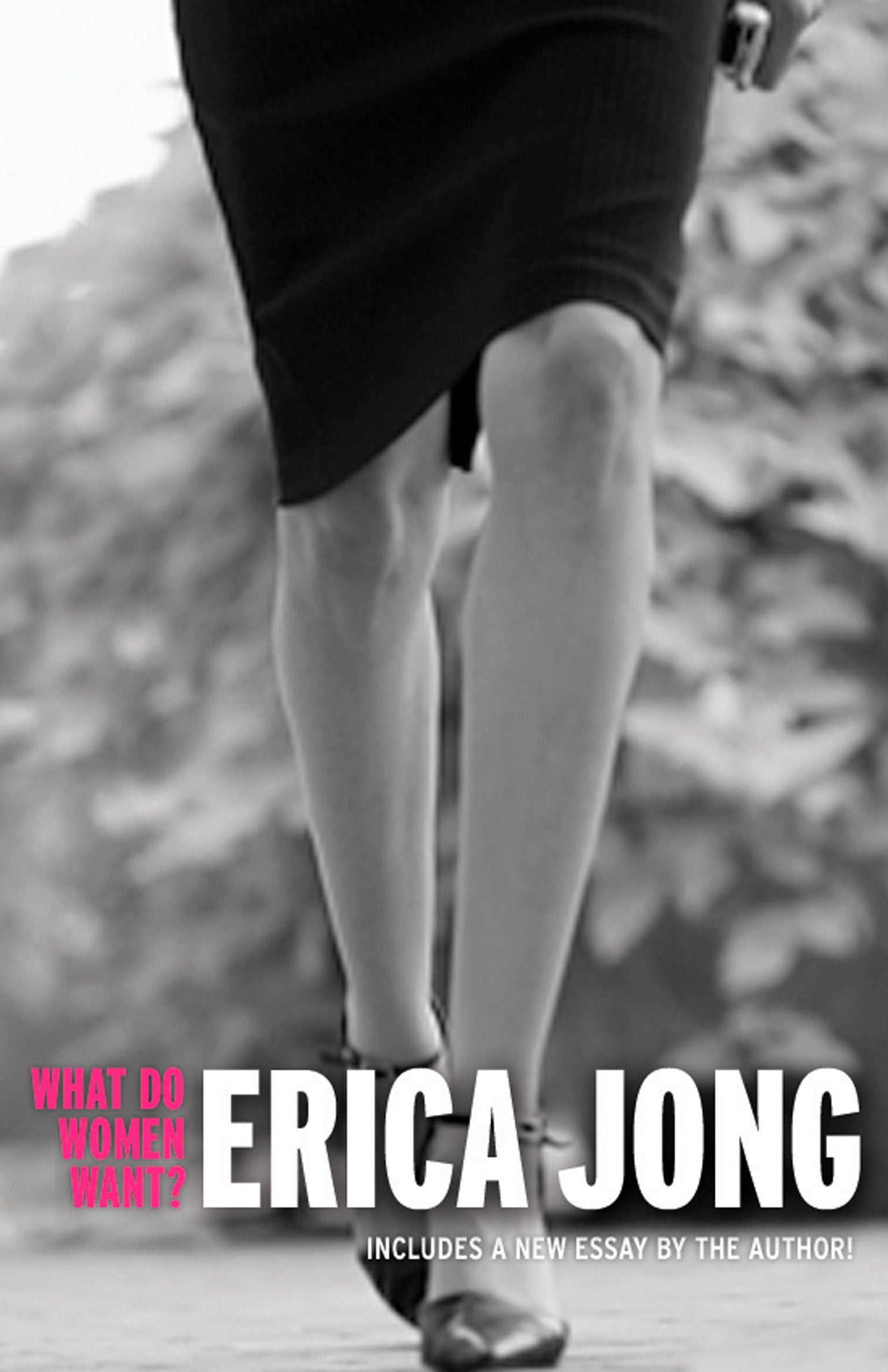 What Do Women Want? - Essays by Erica Jong