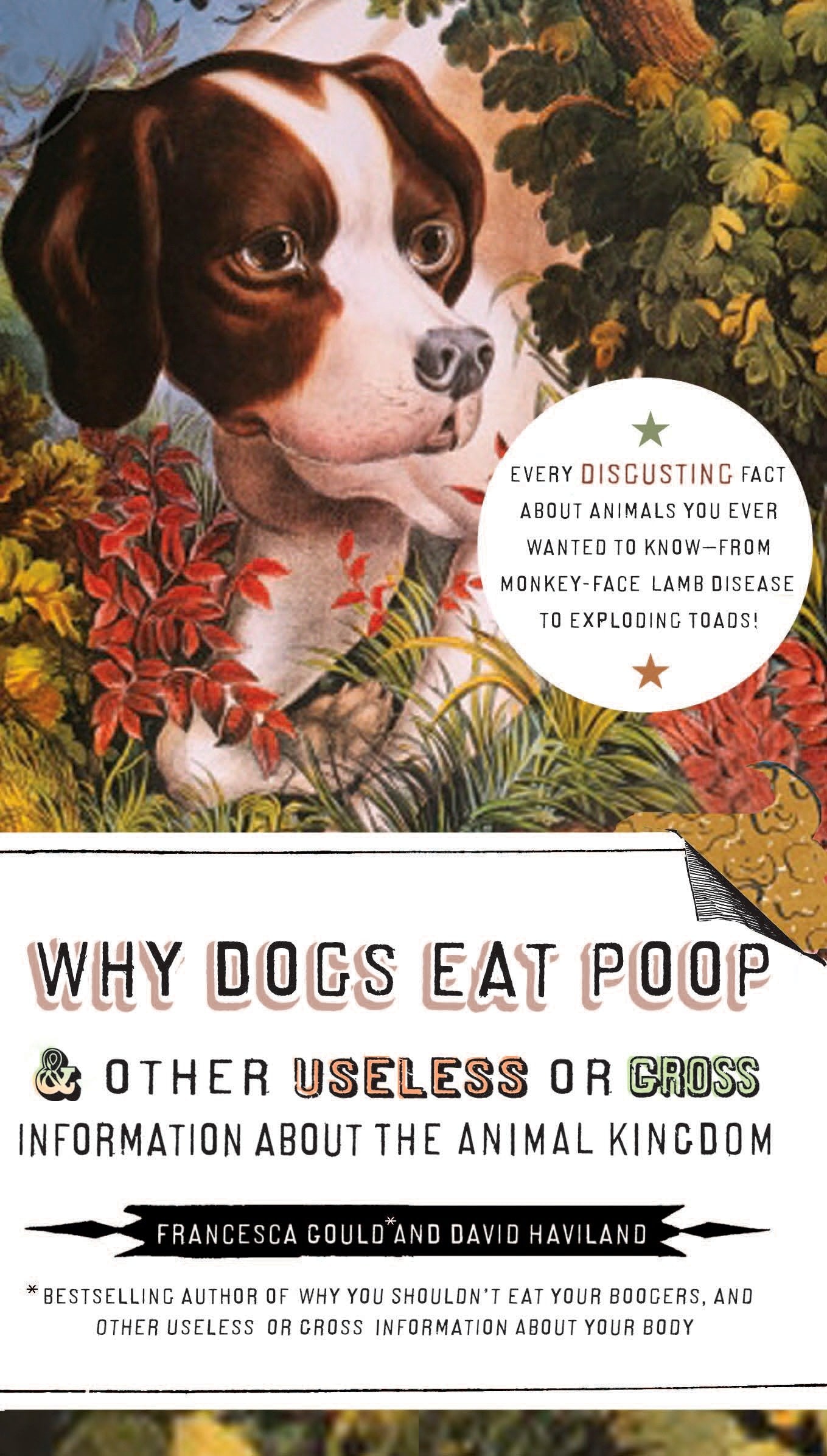 Why Dogs Eat Poop, and Other Useless or Gross Information About the Animal Kingdom - Every Disgusting Fact About Animals you Ever Wanted to Know -- from Monkey-Face