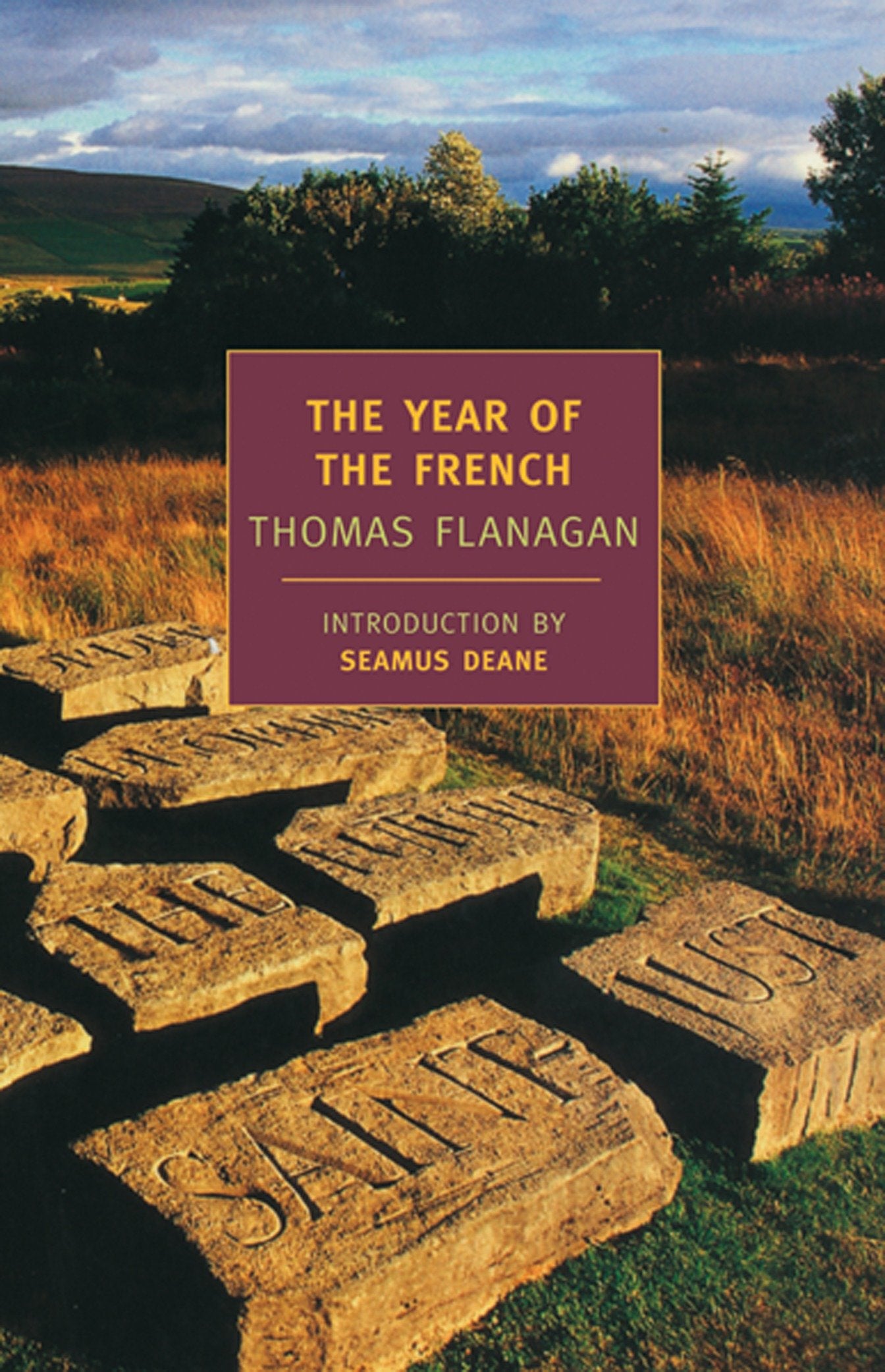 The Year of the French (The Thomas Flanagan Trilogy)